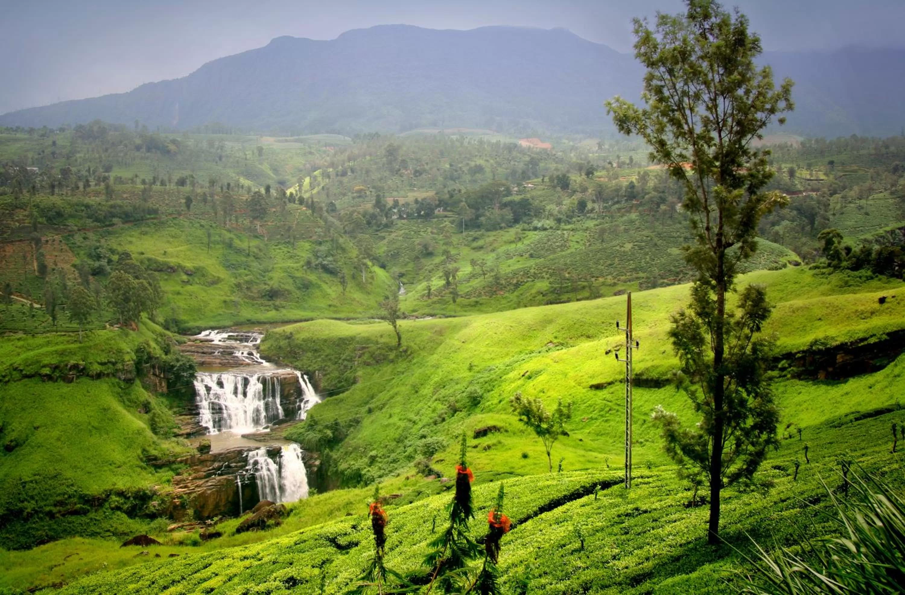 Nearby landmark in Oak Ray Summer Hill Breeze
