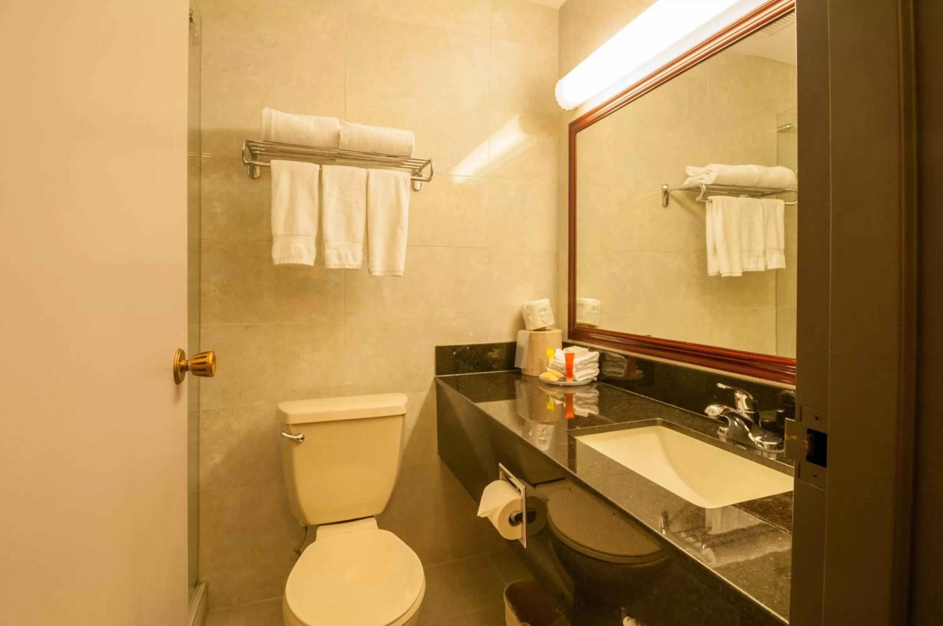 Bathroom in Best Western Airport Inn