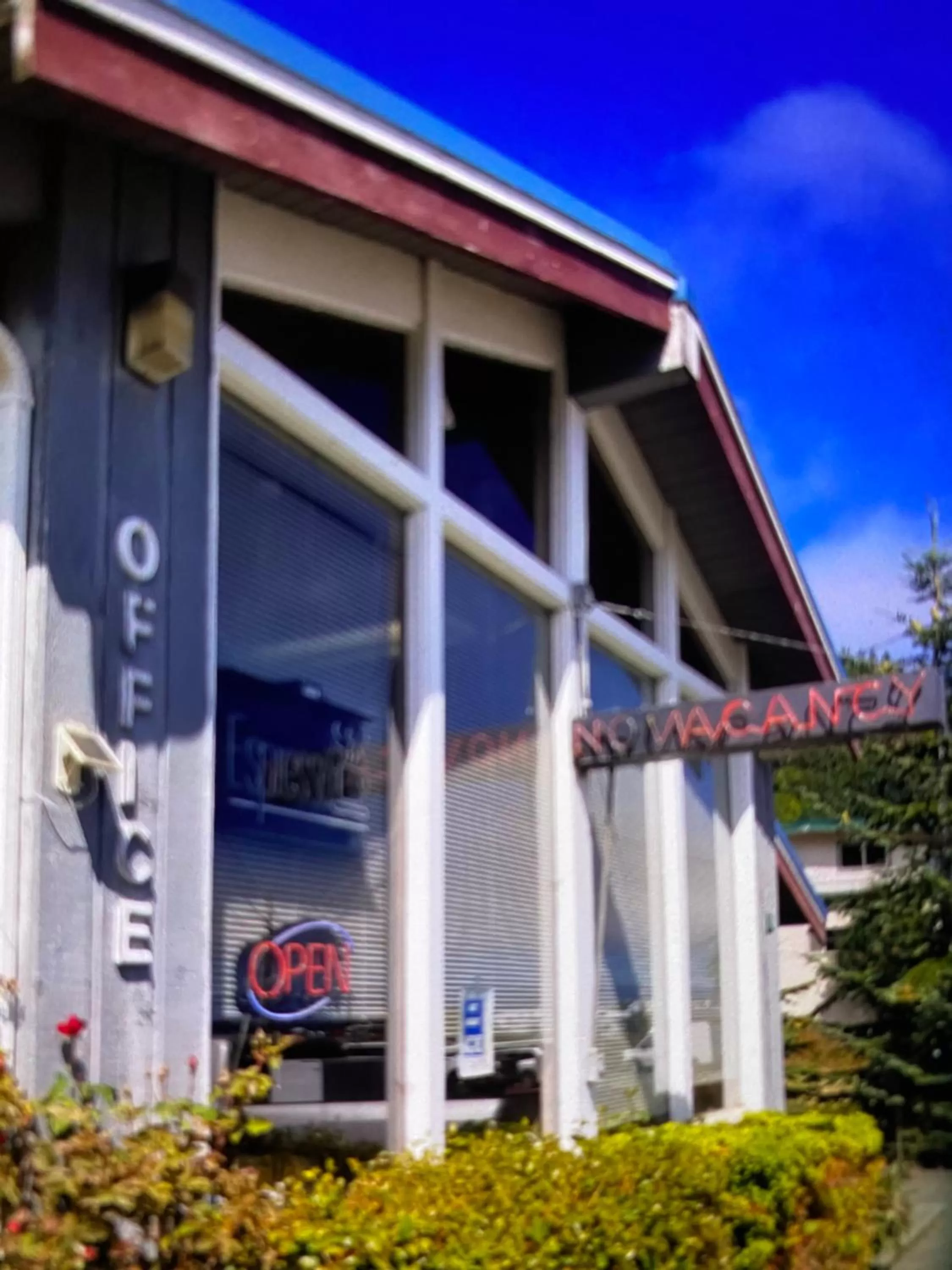 Curley's Resort & Dive Center