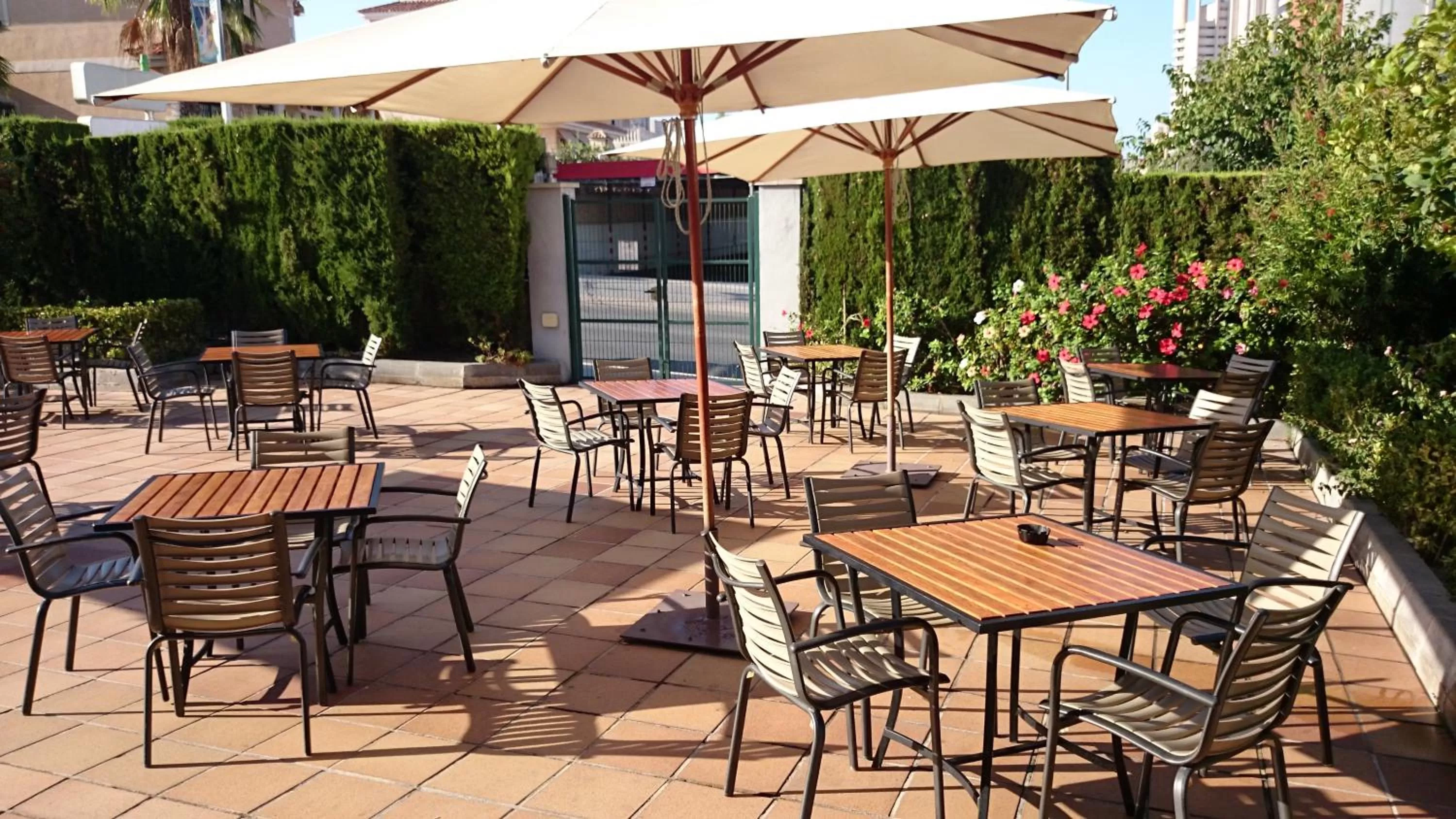 Balcony/Terrace in Hotel Mediterraneo