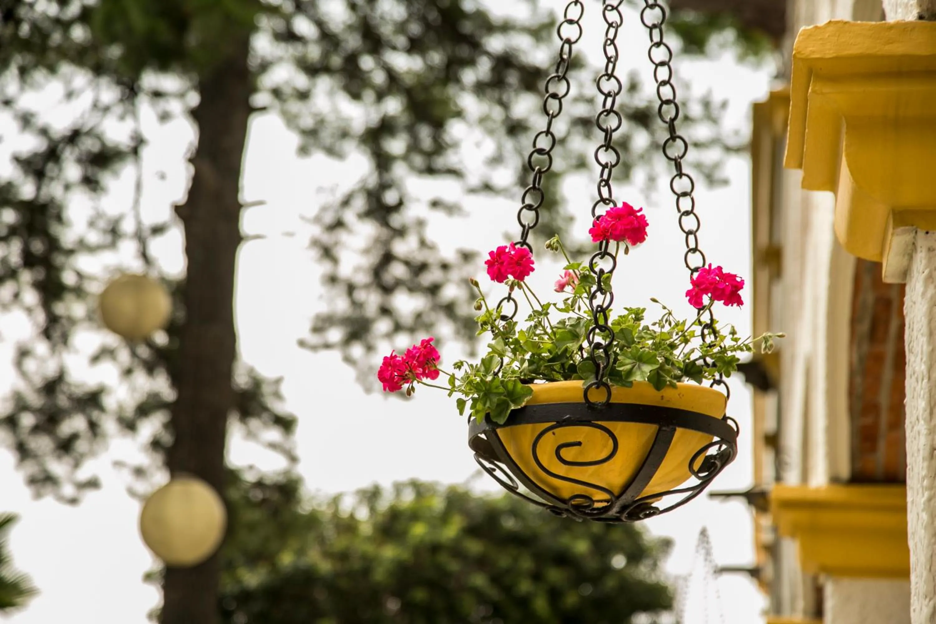 Decorative detail in Imperio De Angeles