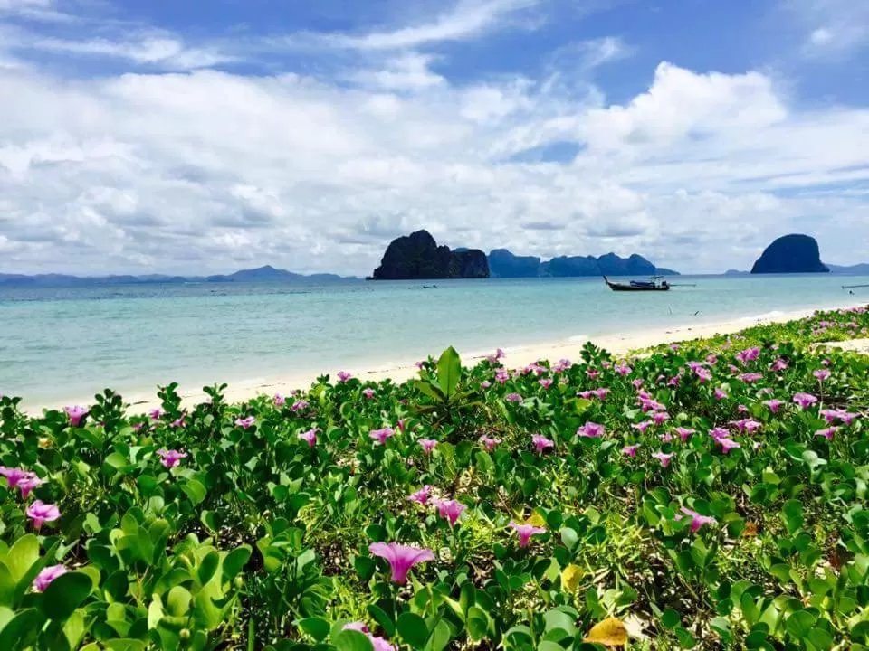 Beach in Thanya Beach Resort - SHA Plus