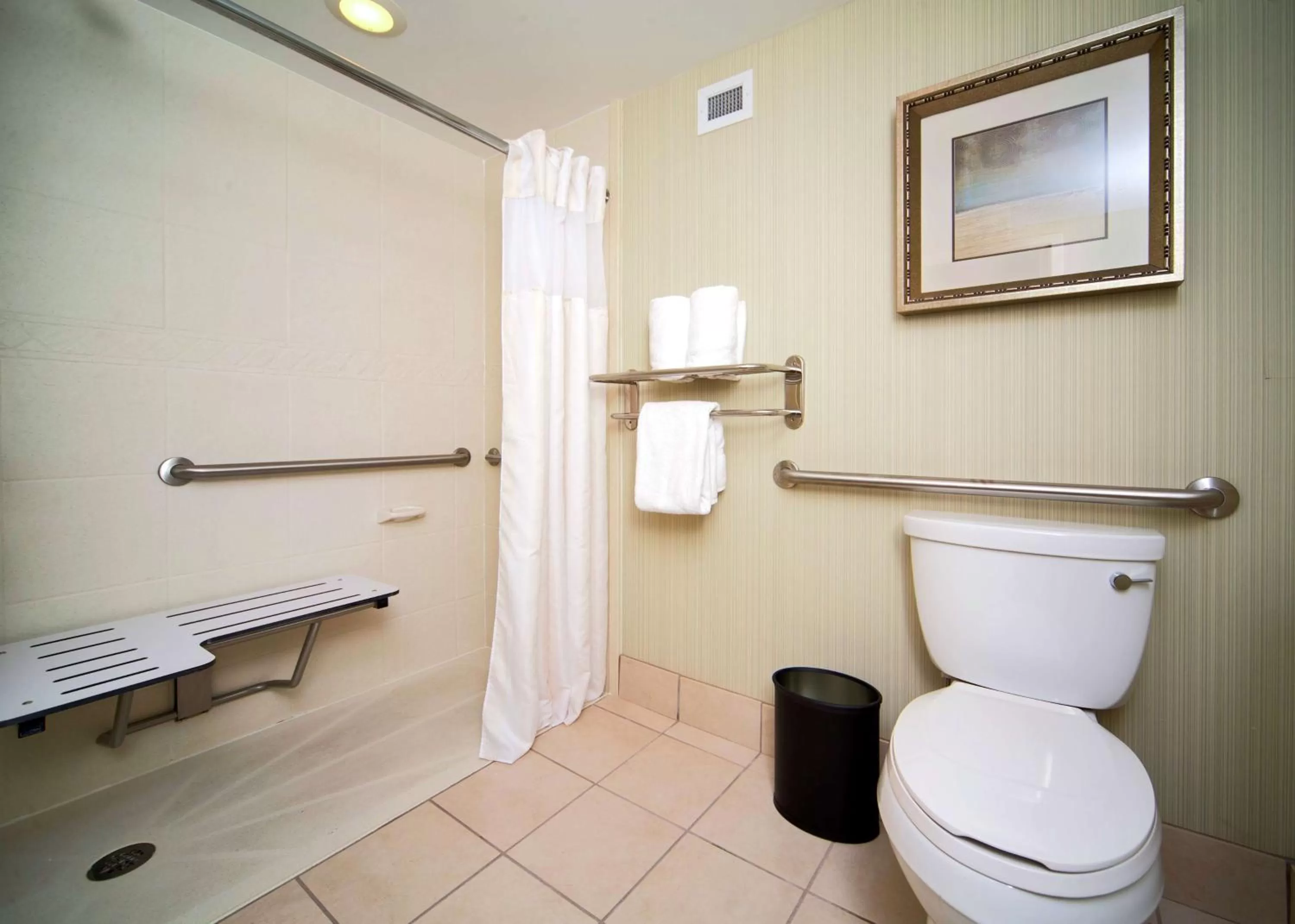 Bathroom in Hilton Garden Inn Valdosta