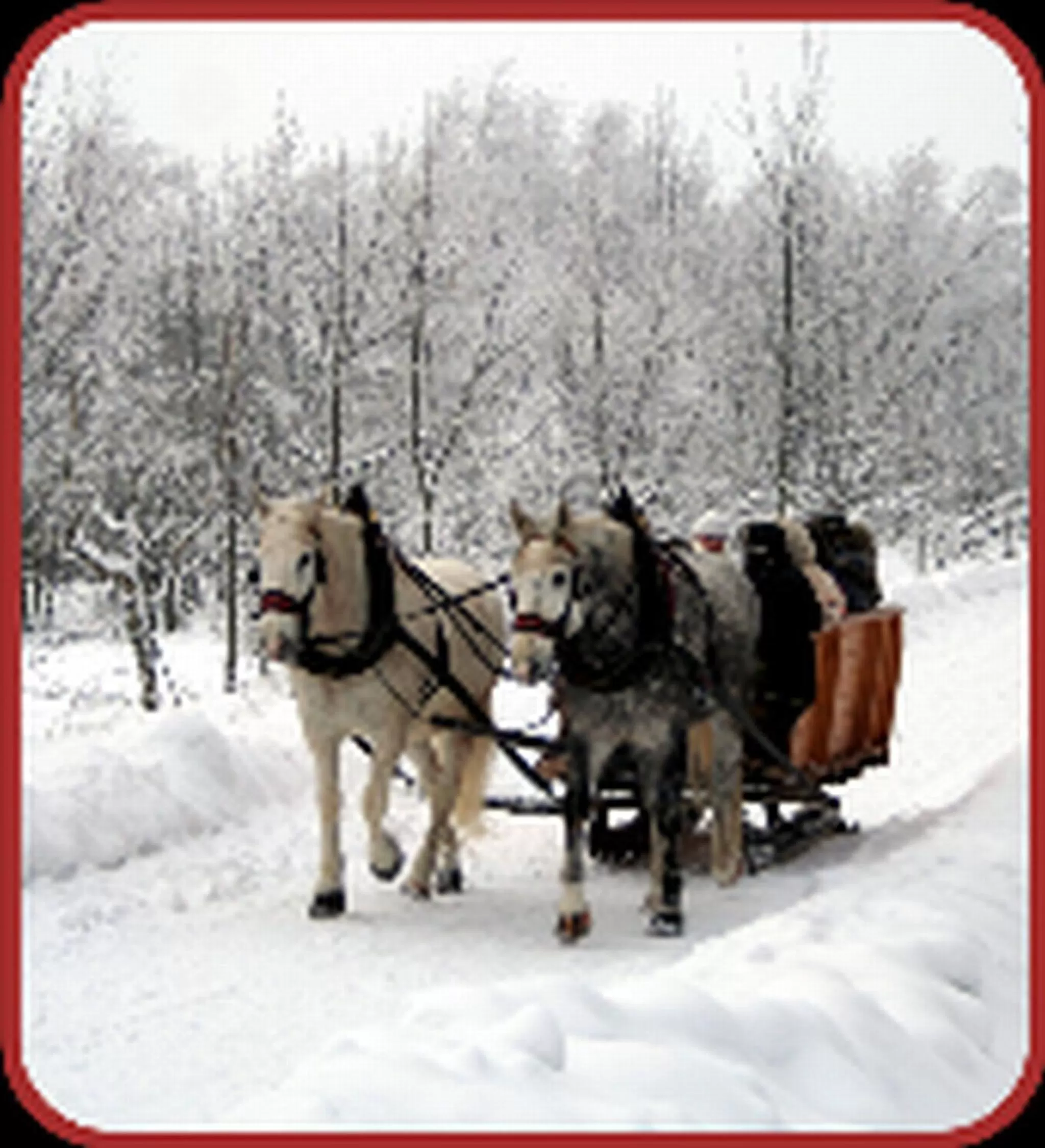 Area and facilities in Zur Edlen Krone