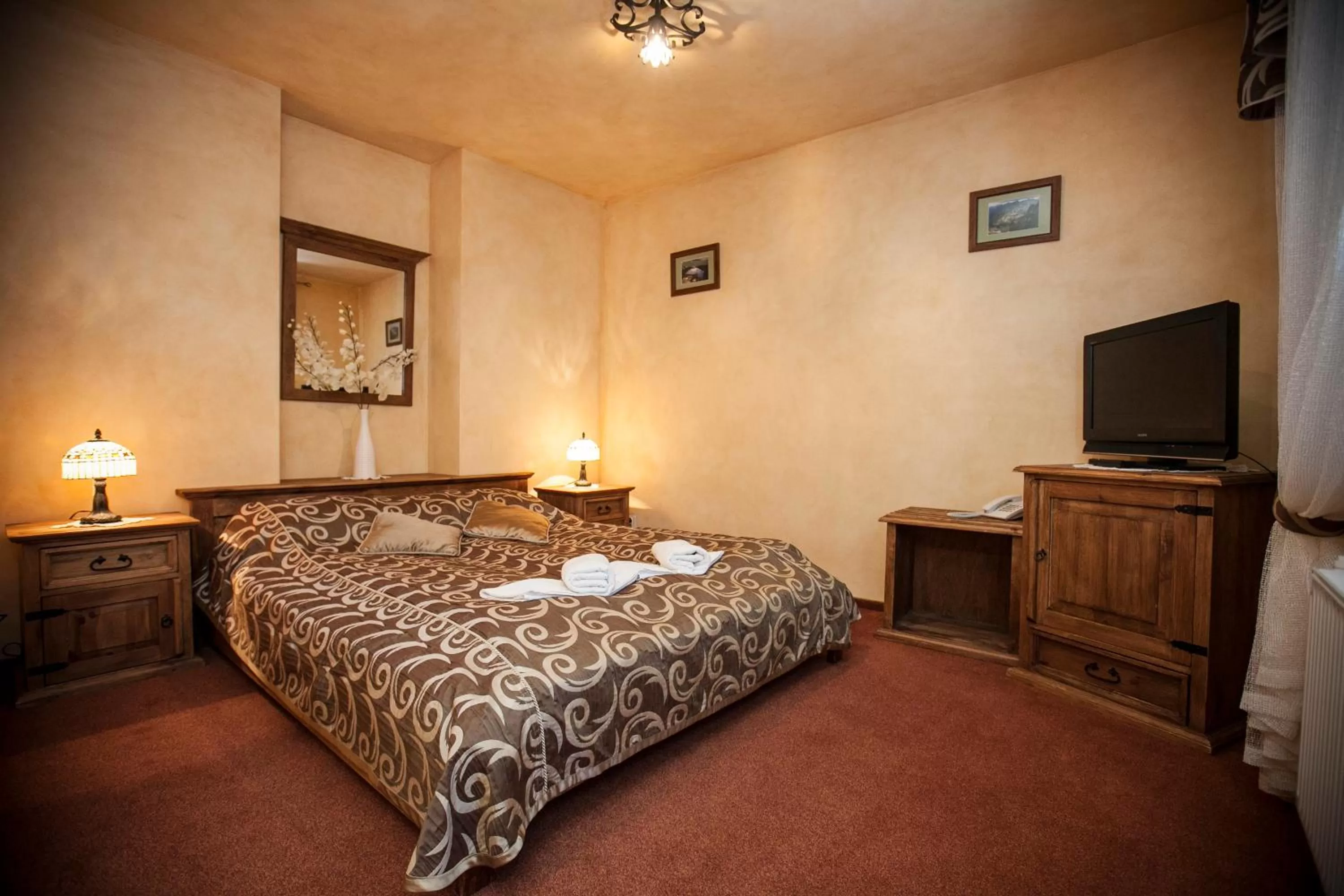 TV and multimedia, Bed in Hotel Dwór Karolówka