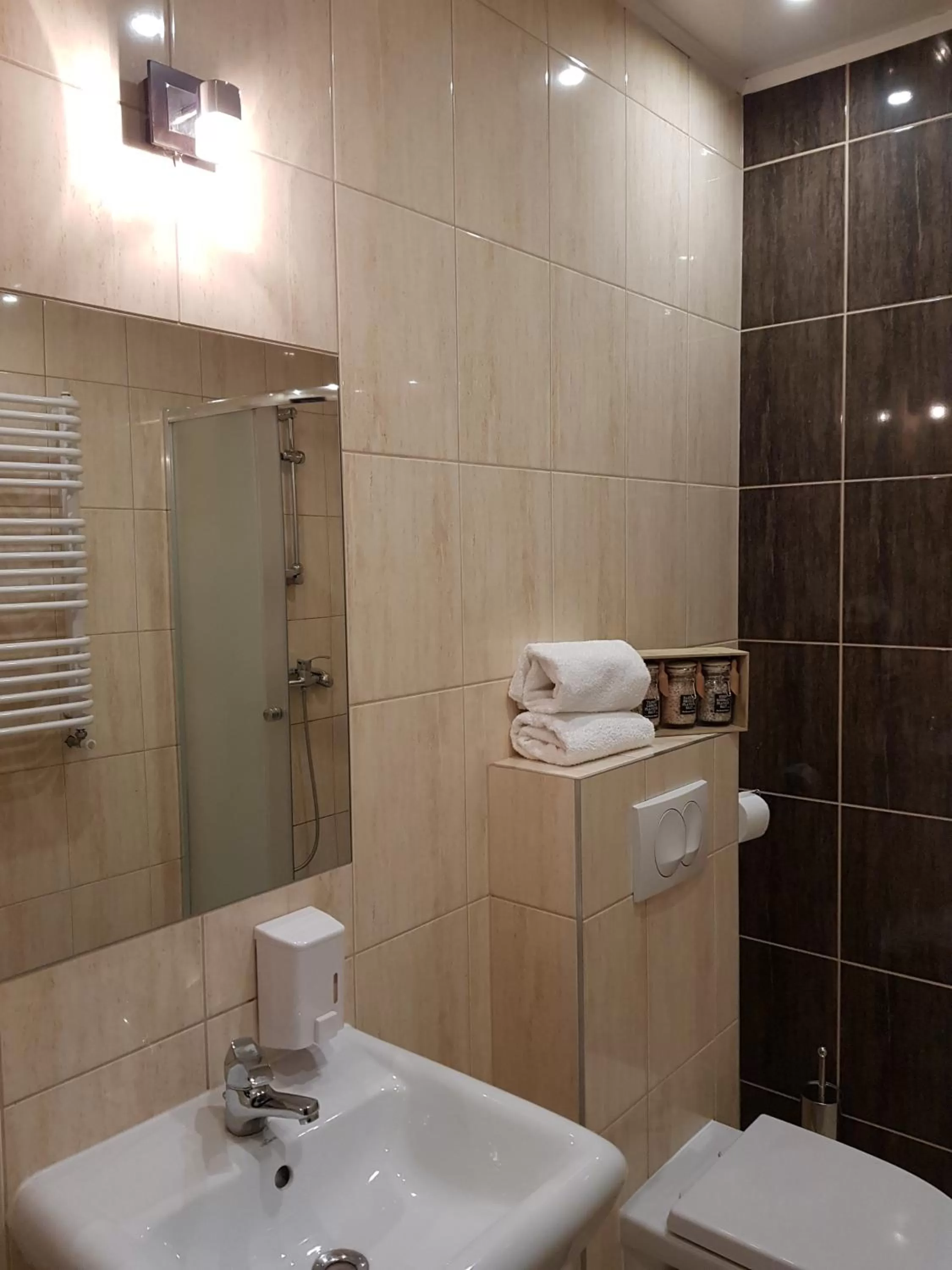 Shower in Pokoje Bakos Radocza