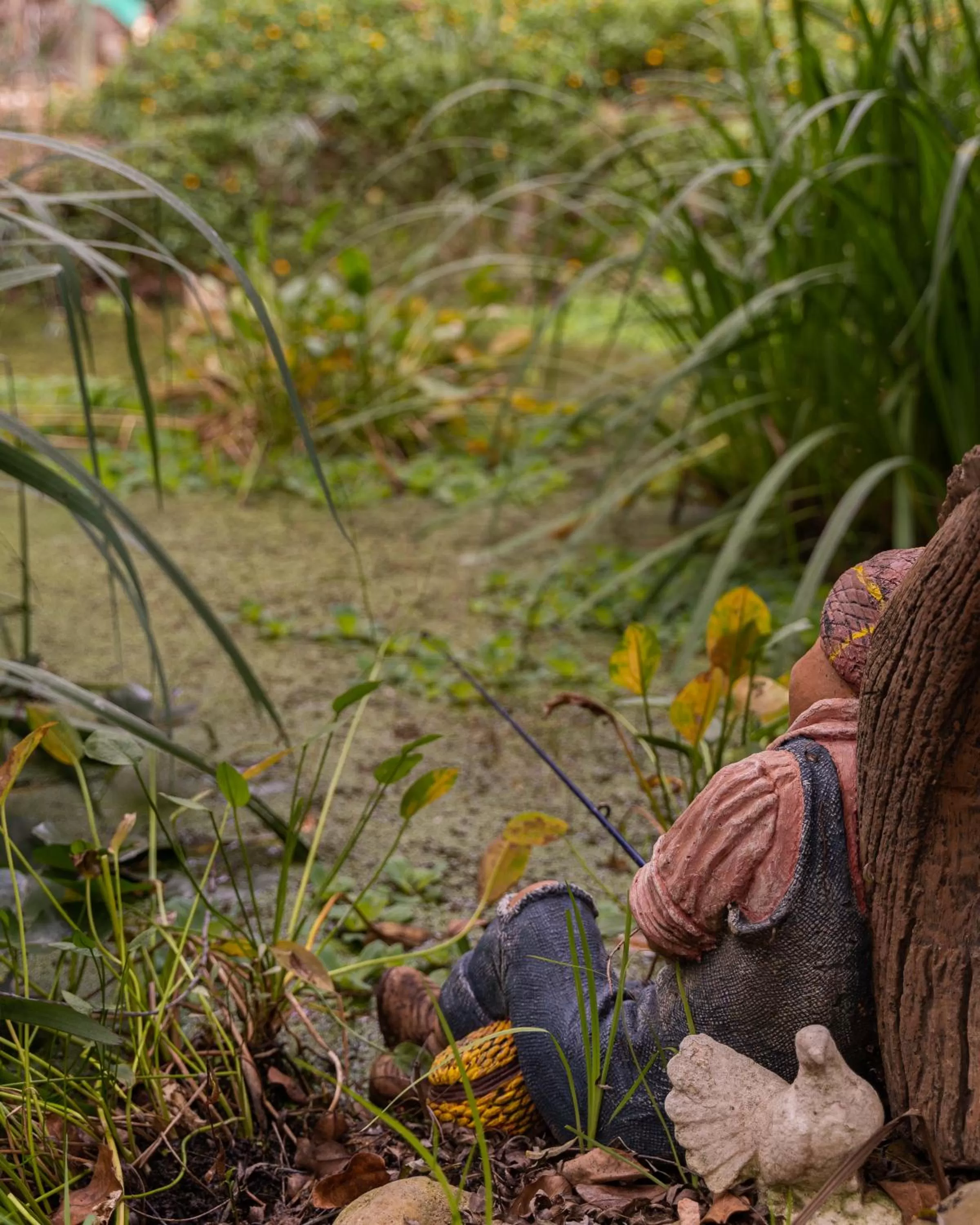 Garden in Aquaelberg Place