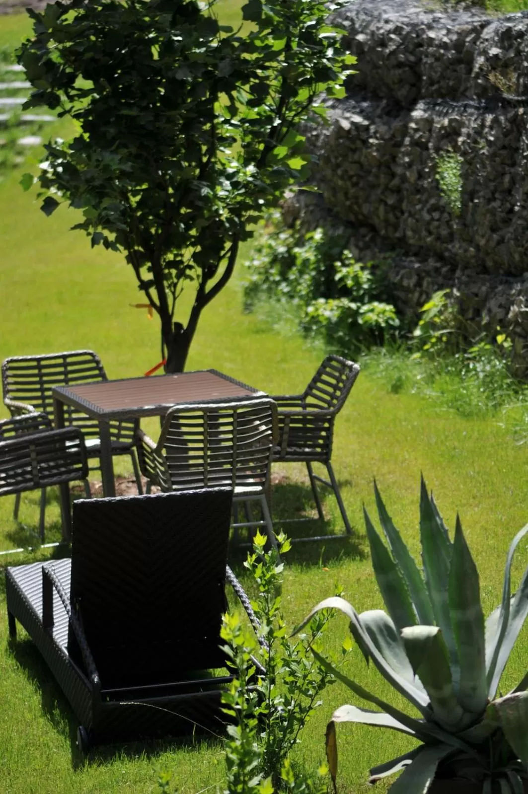 Garden in Boutique Hotel Sudetia - Medical & SPA