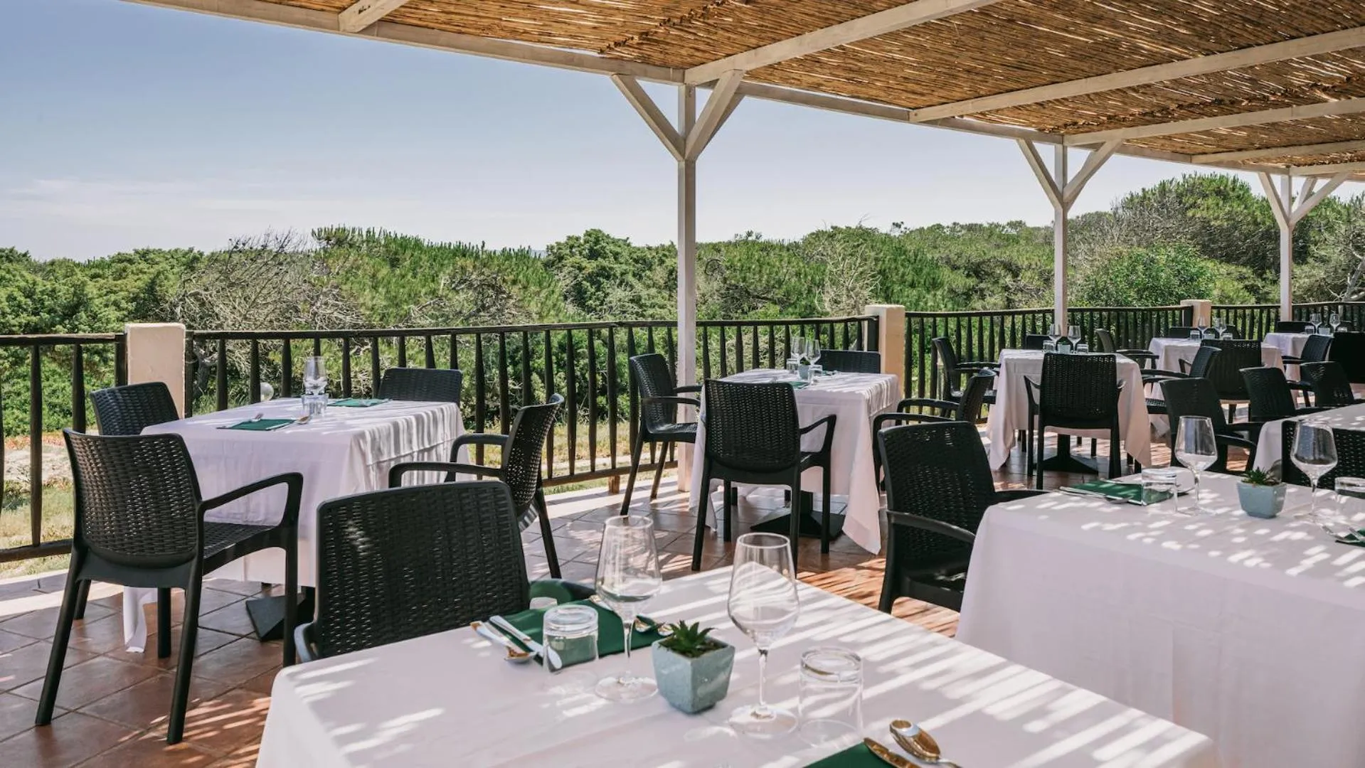 Restaurant/places to eat in MClub Del Golfo