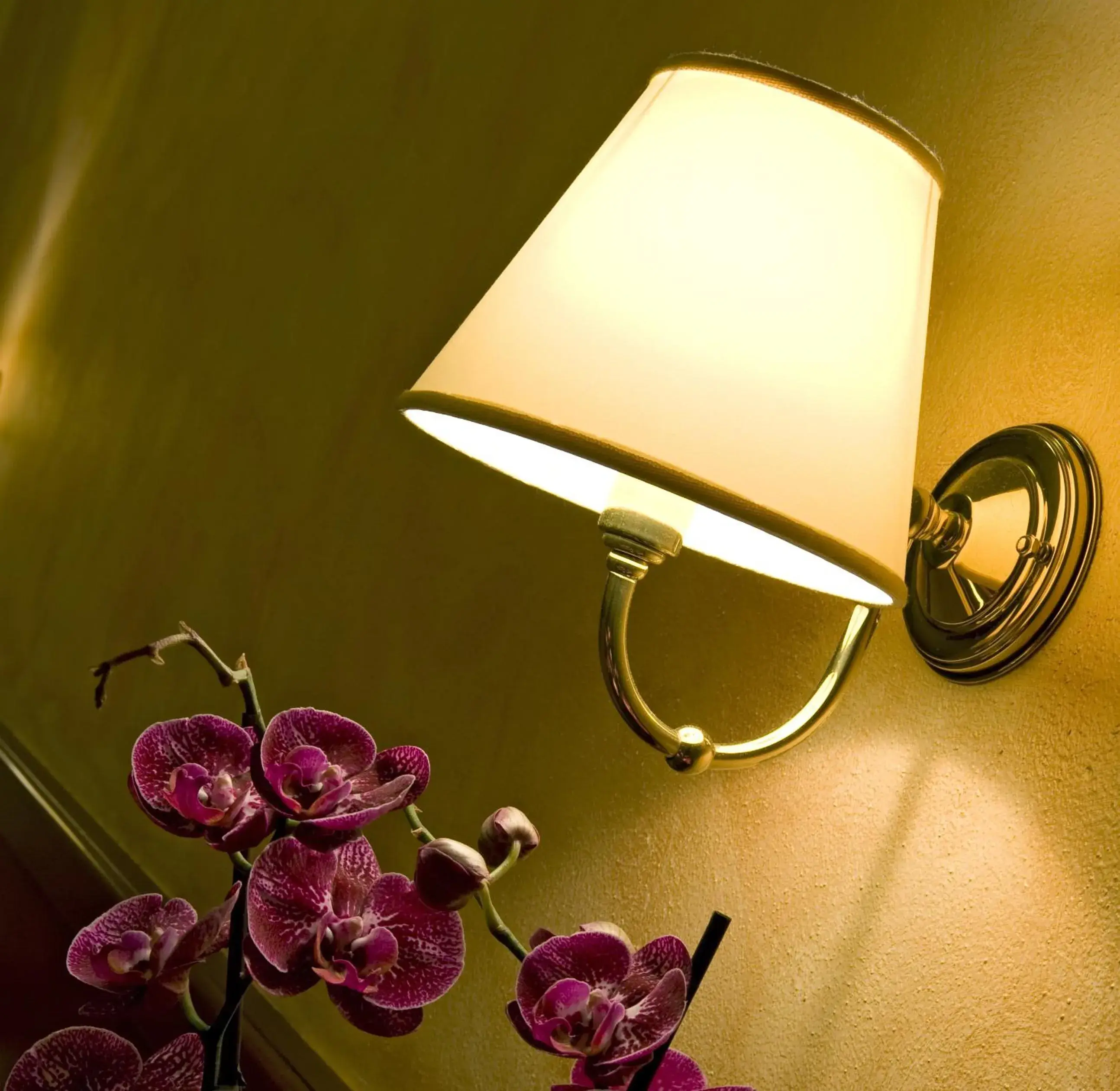 Double Room in Hotel Scaligero Double Room in Hotel Scaligero