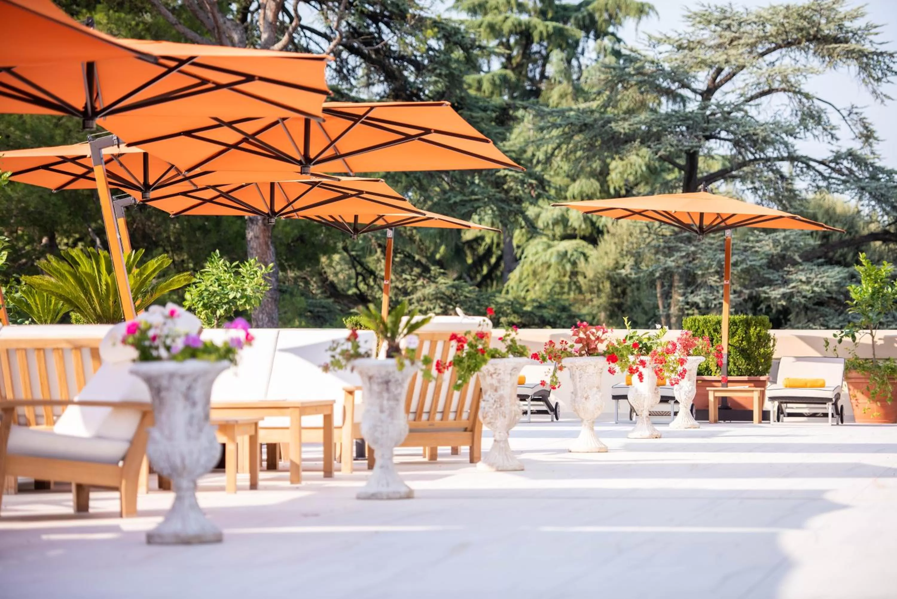 Balcony/Terrace in Grand Hotel Castrocaro Longlife Formula
