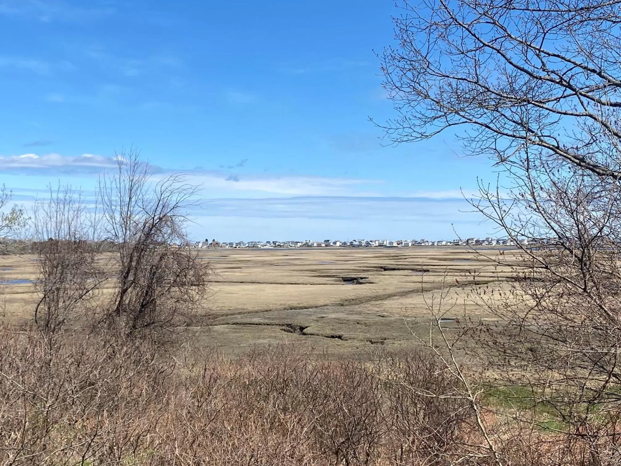View (from property/room) in Village By The Sea