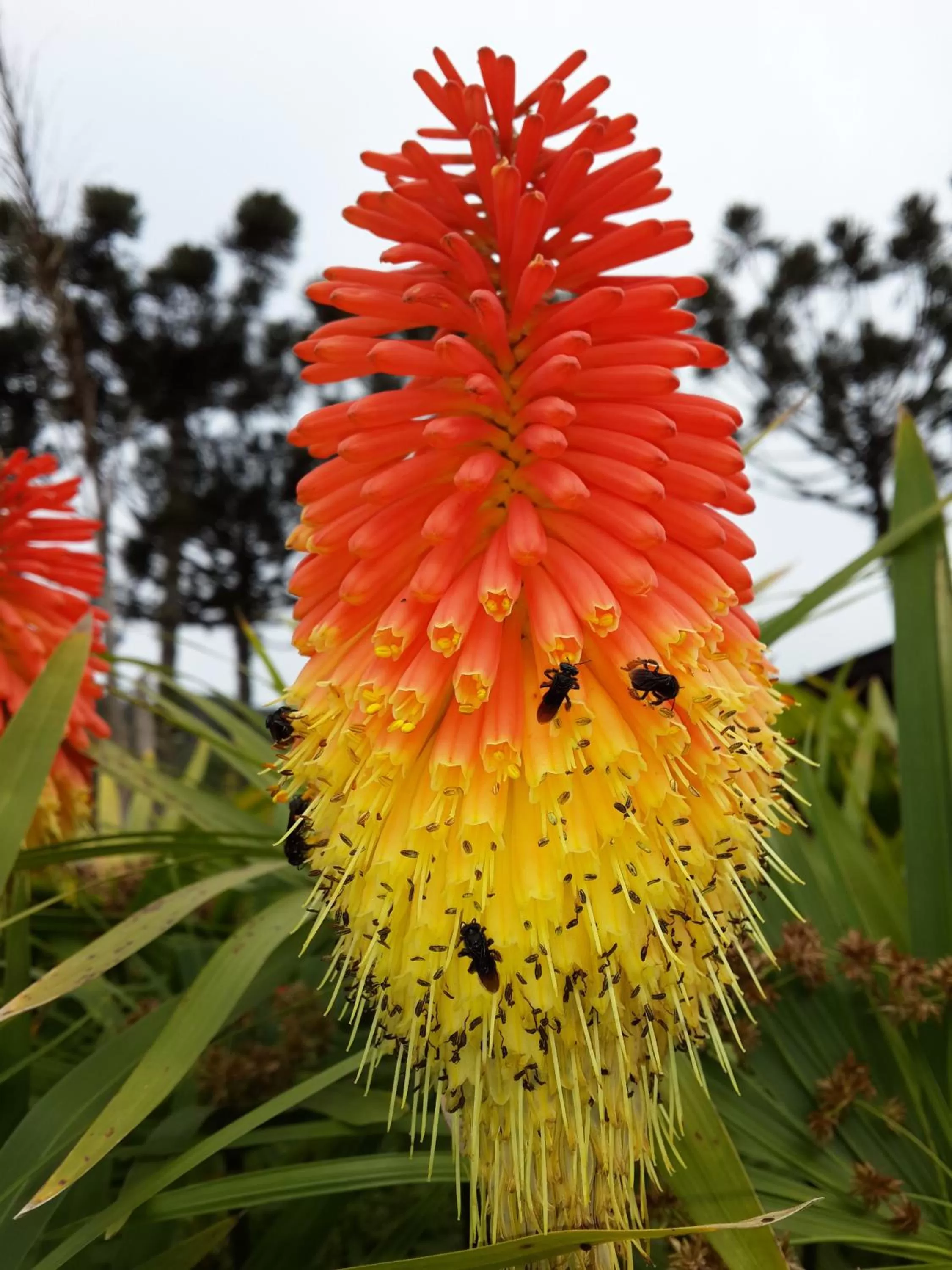 Other in Bina's Haus Pousada, Cafeteria e Atelier