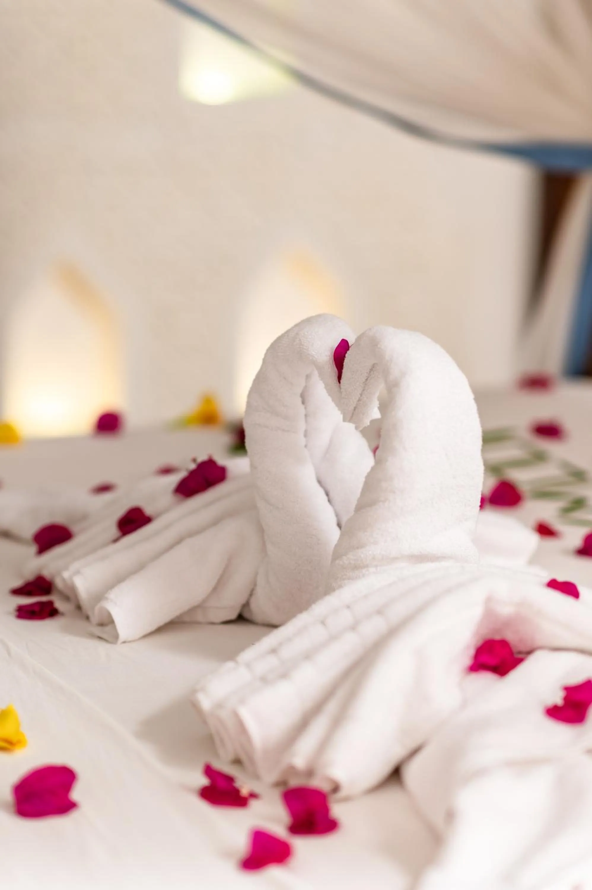 Bed in Hakuna Majiwe Beach Lodge