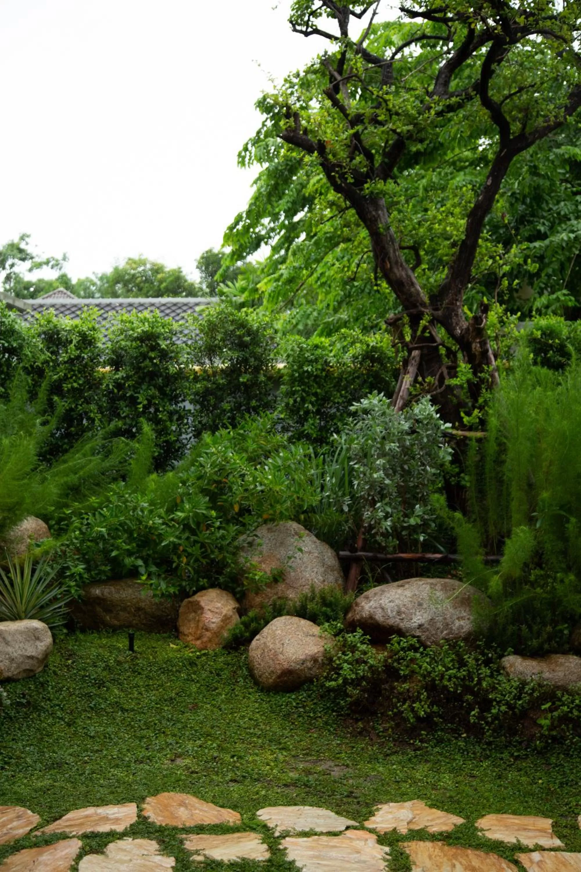 Natural landscape in SHAN Villas Sukhumvit