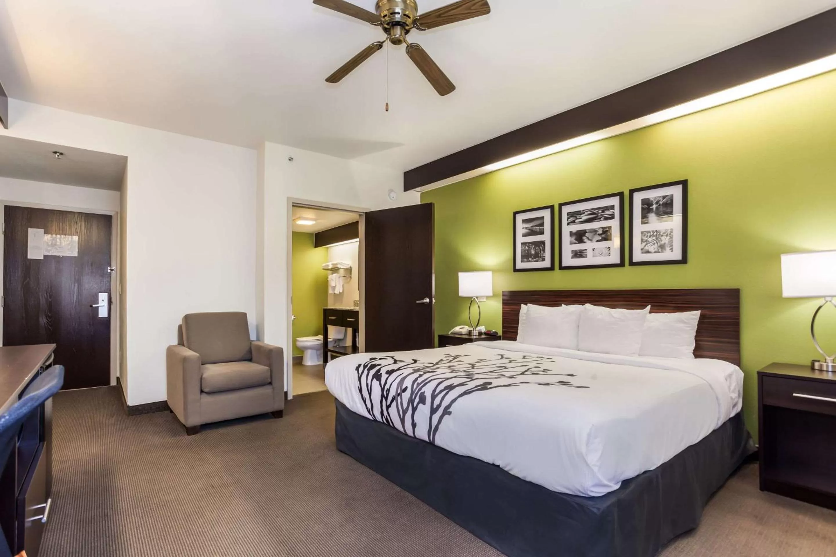 Photo of the whole room, Bed in Sleep Inn Little River - North Myrtle Beach