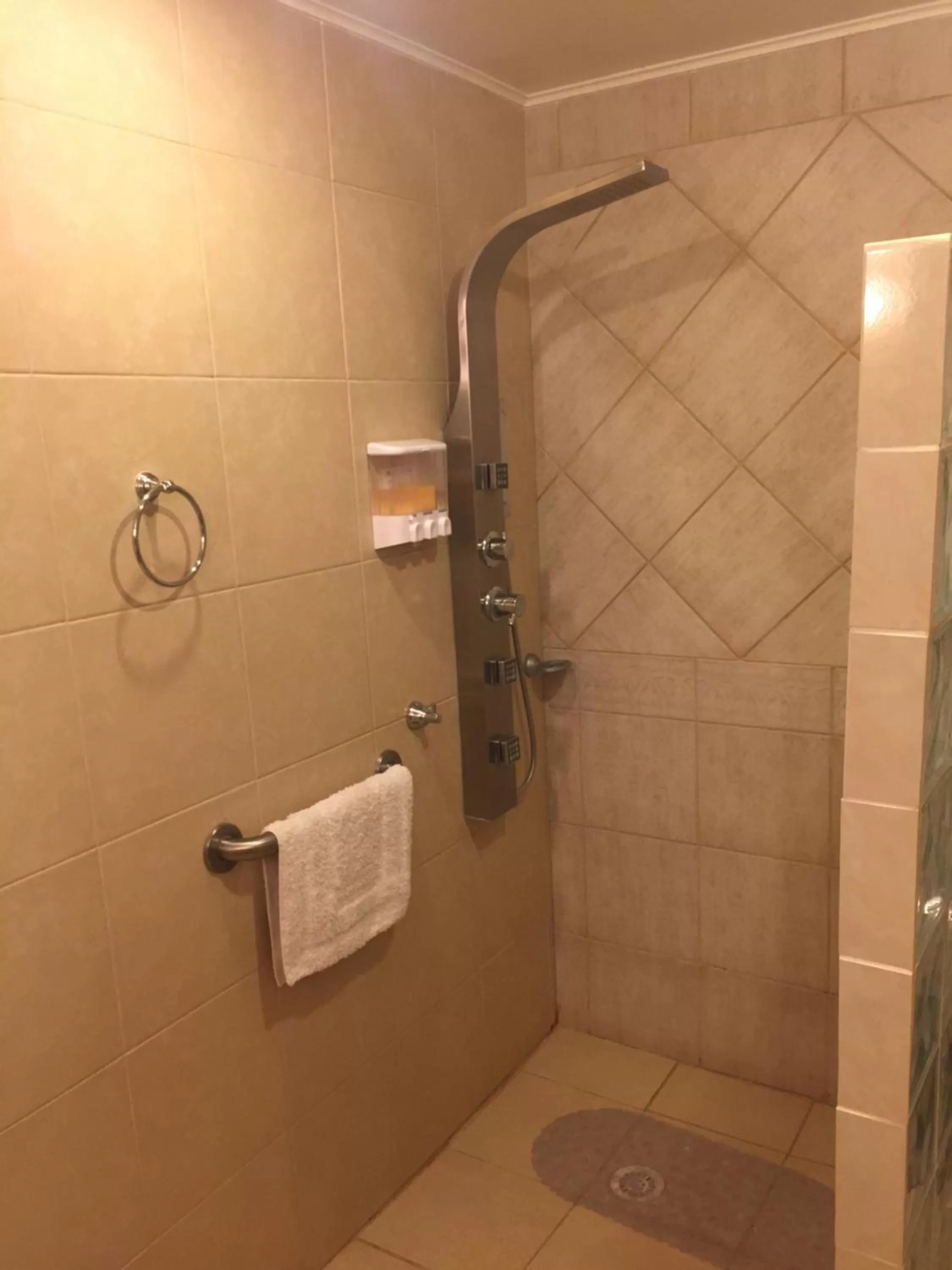 Shower, Bathroom in Atankalama