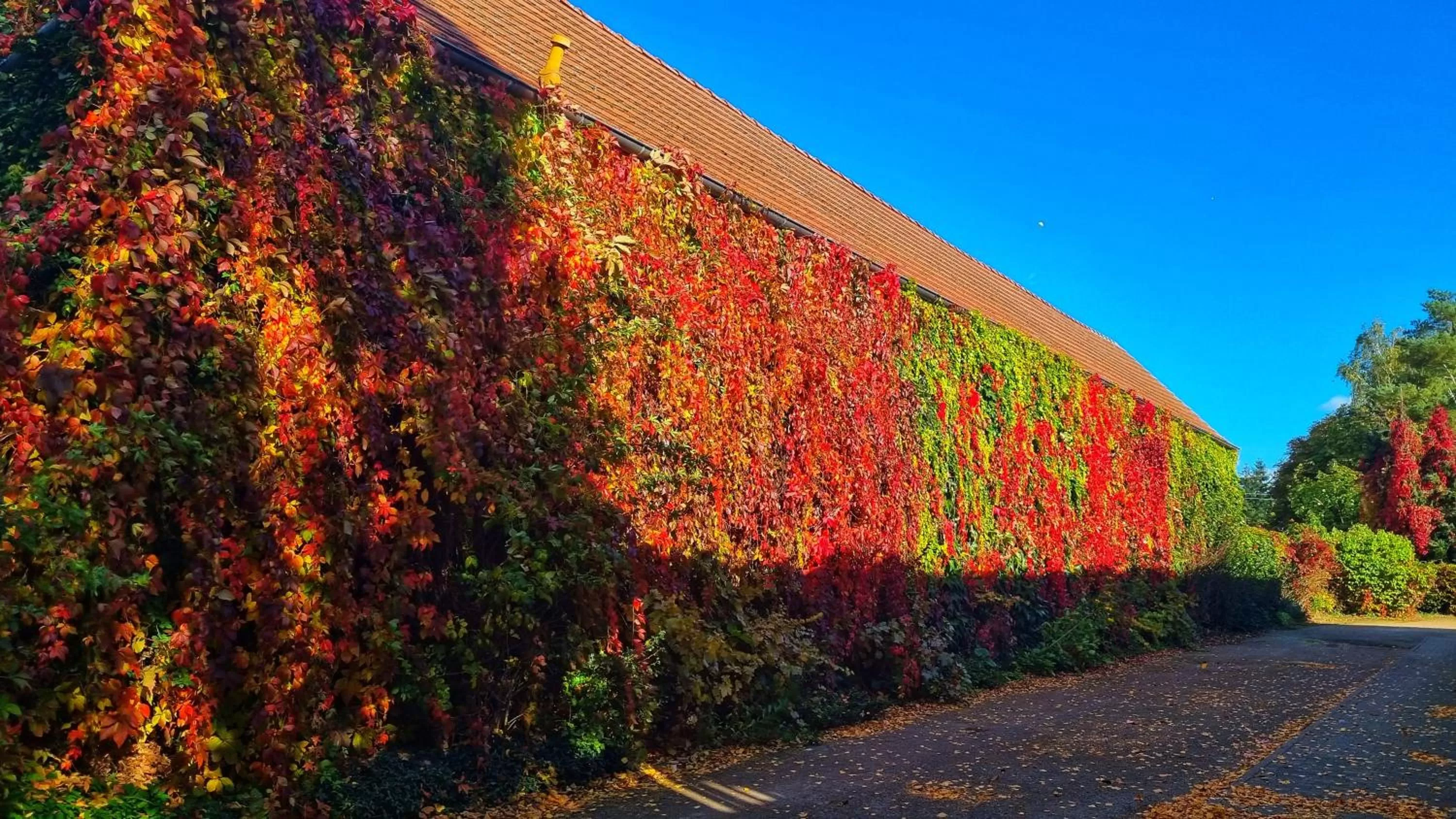 Property building in Landhaus Kyritz