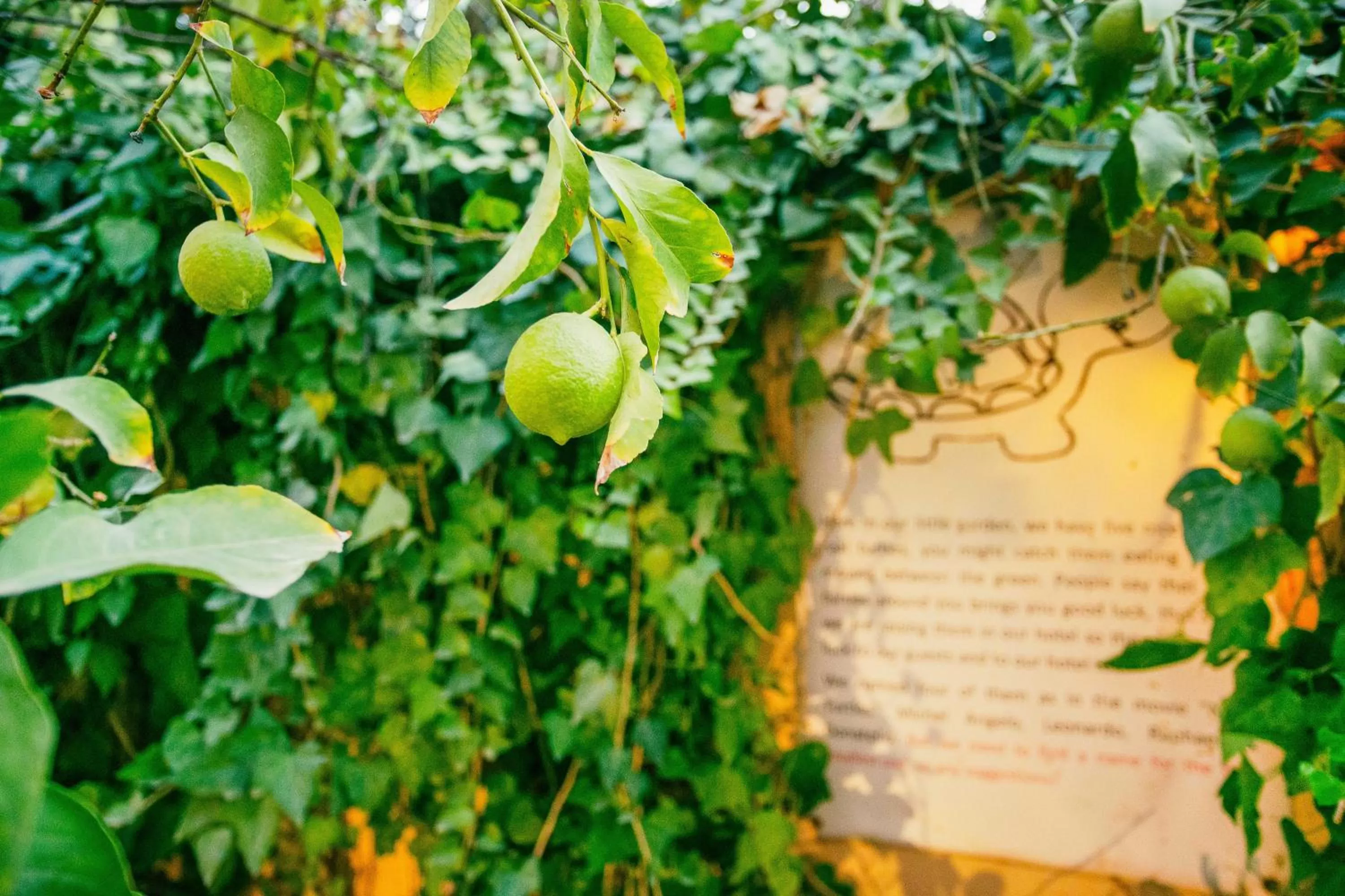 Day in Grand Hotel Madaba