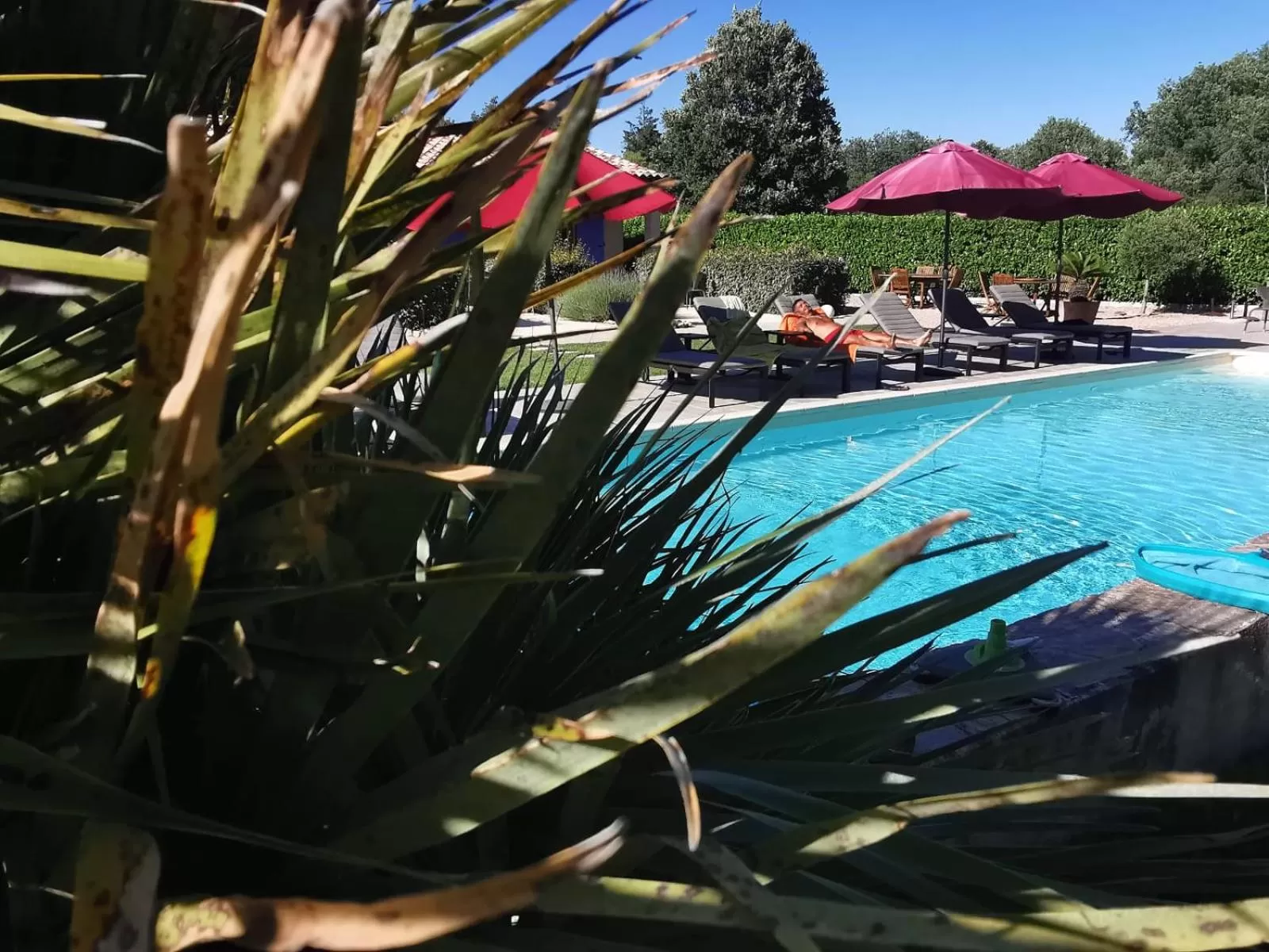 Pool view in La Dryade