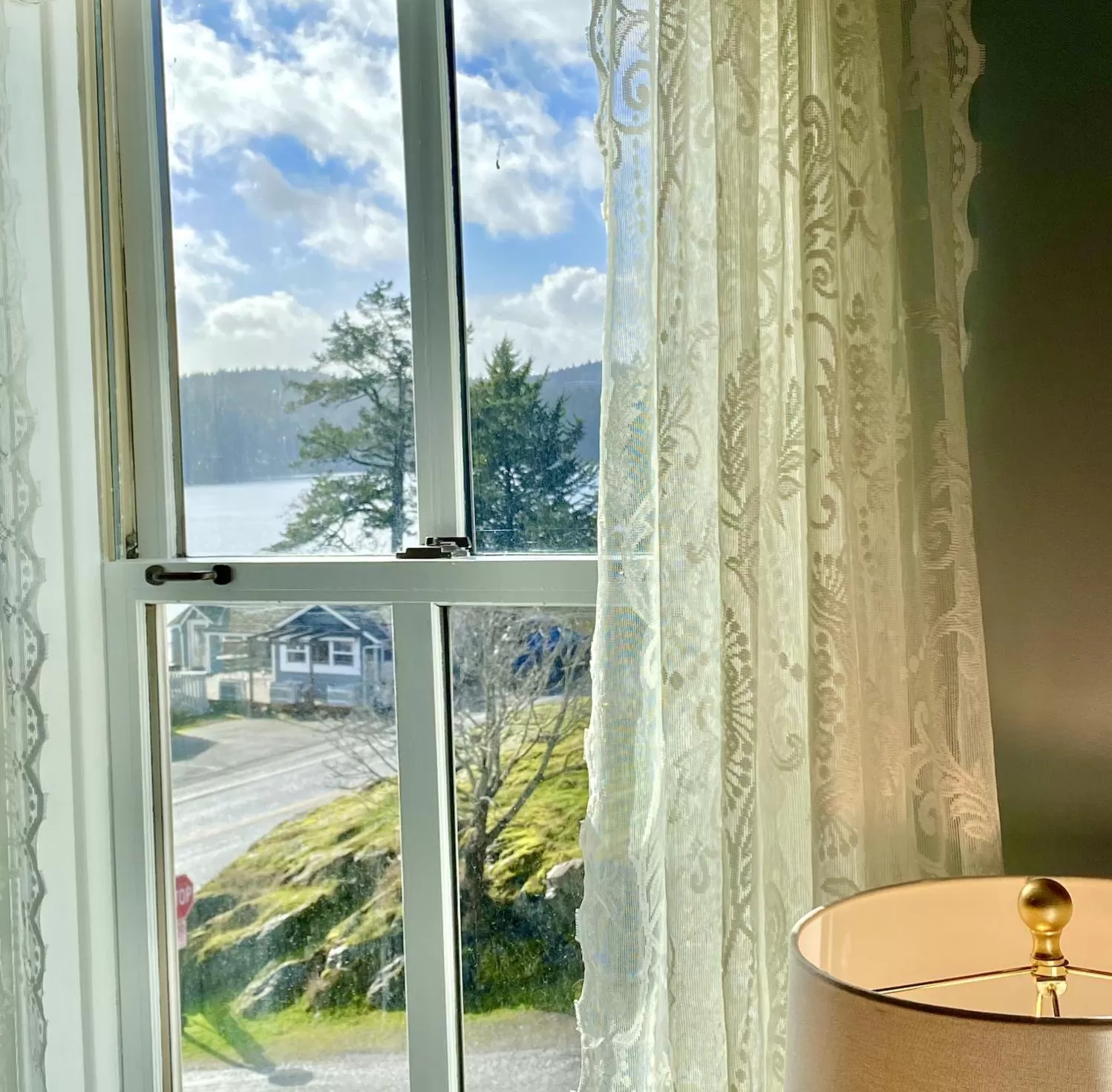 Natural landscape in Orcas Hotel