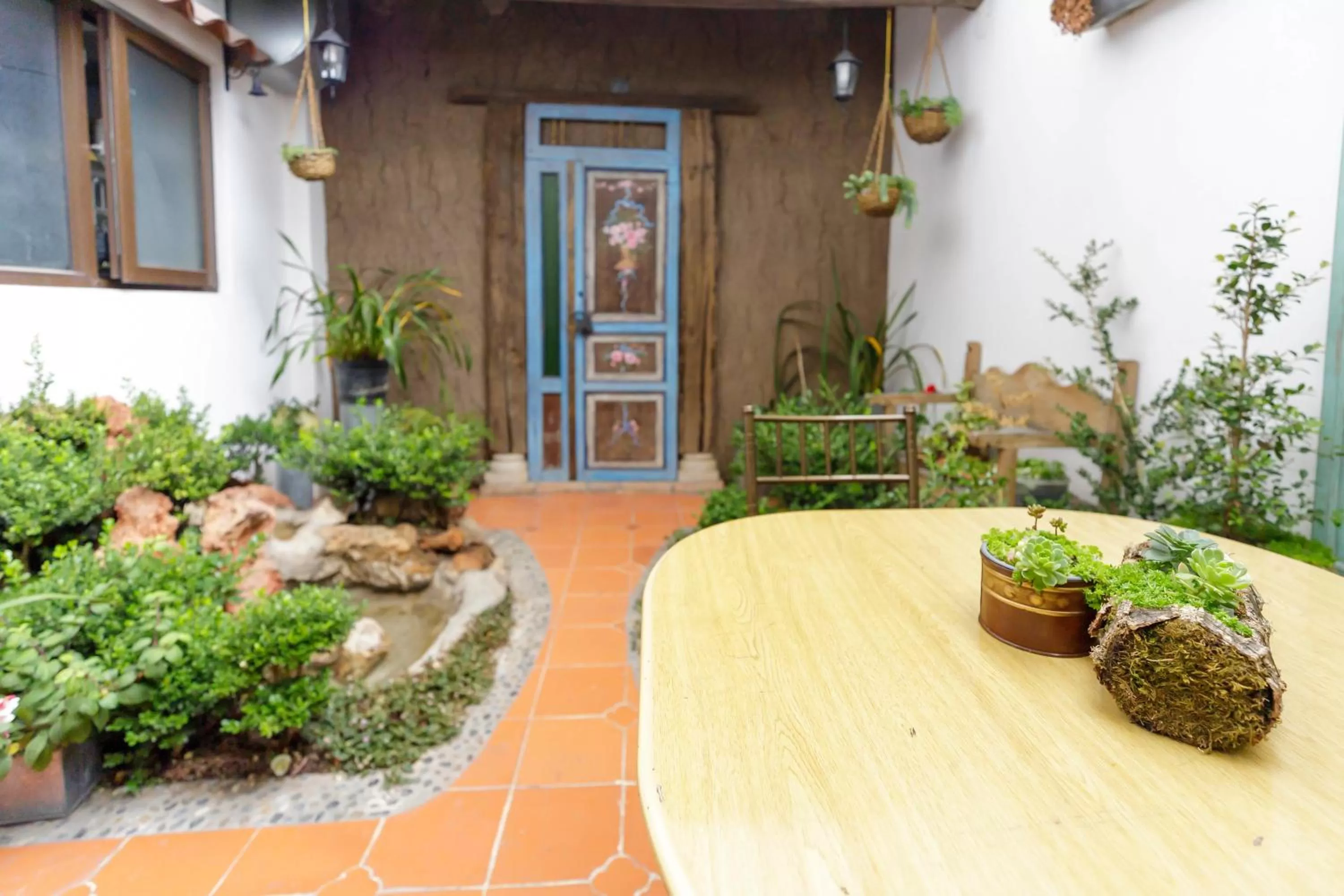 Patio in Hotel Azul de la Plaza by Chat Noir