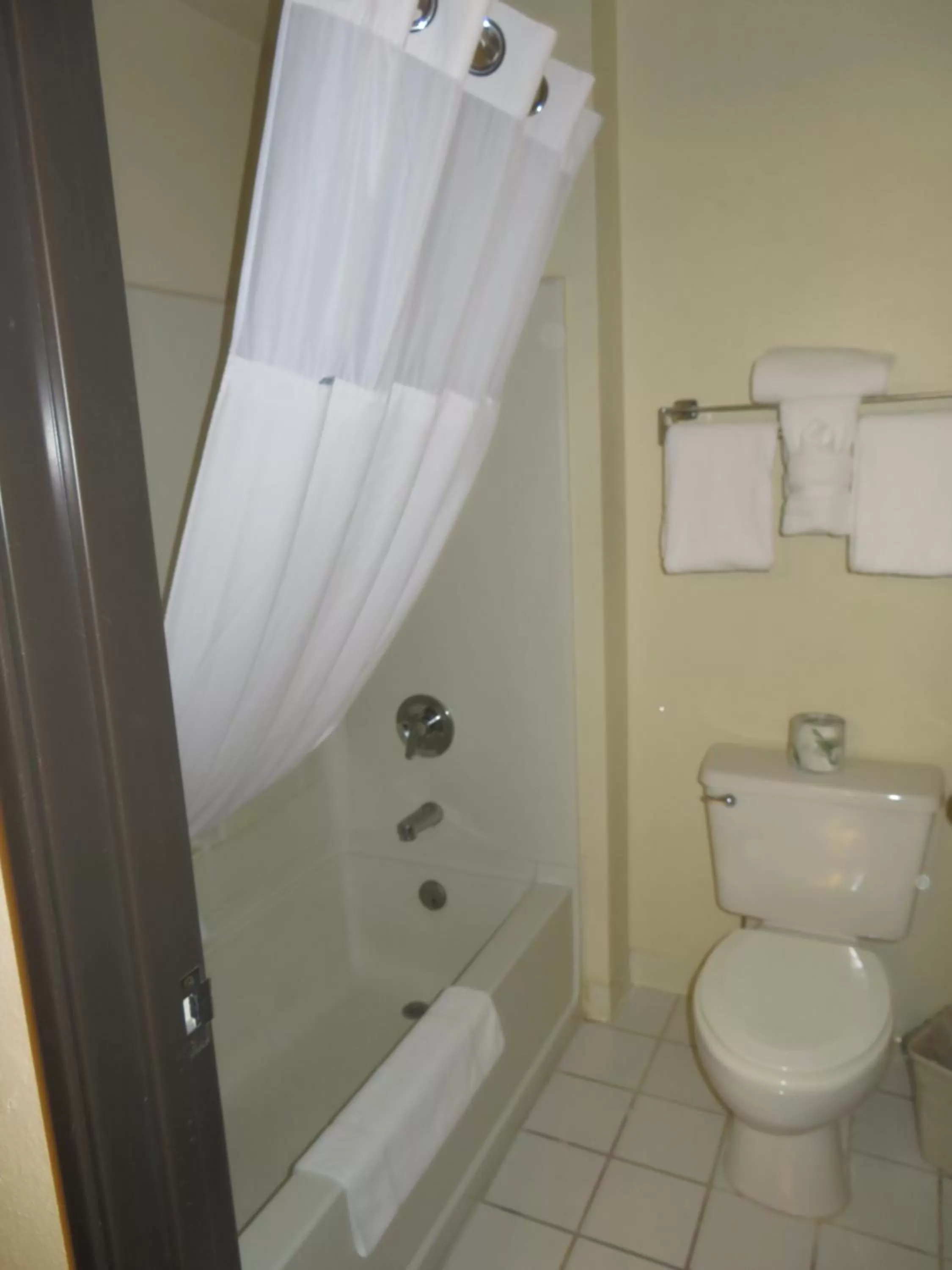 Bathroom in GreenTree Inn Montrose