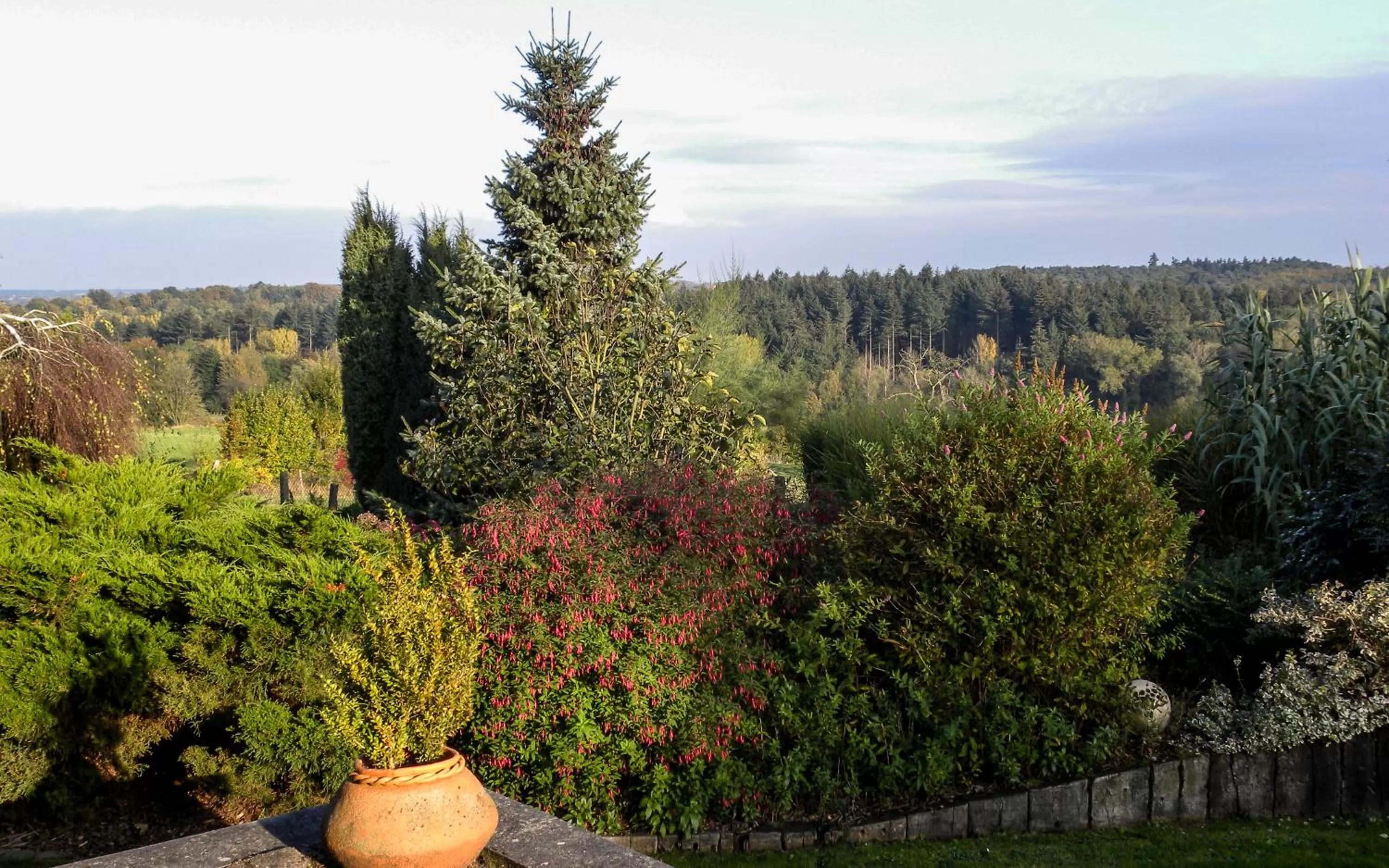 Natural landscape in B&B Plattestien