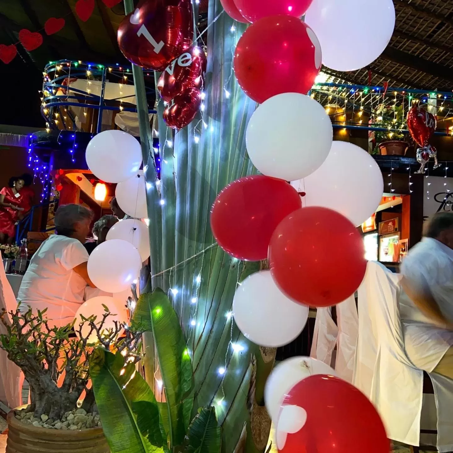 Evening entertainment in Hôtel Restaurant Coco Lodge Majunga