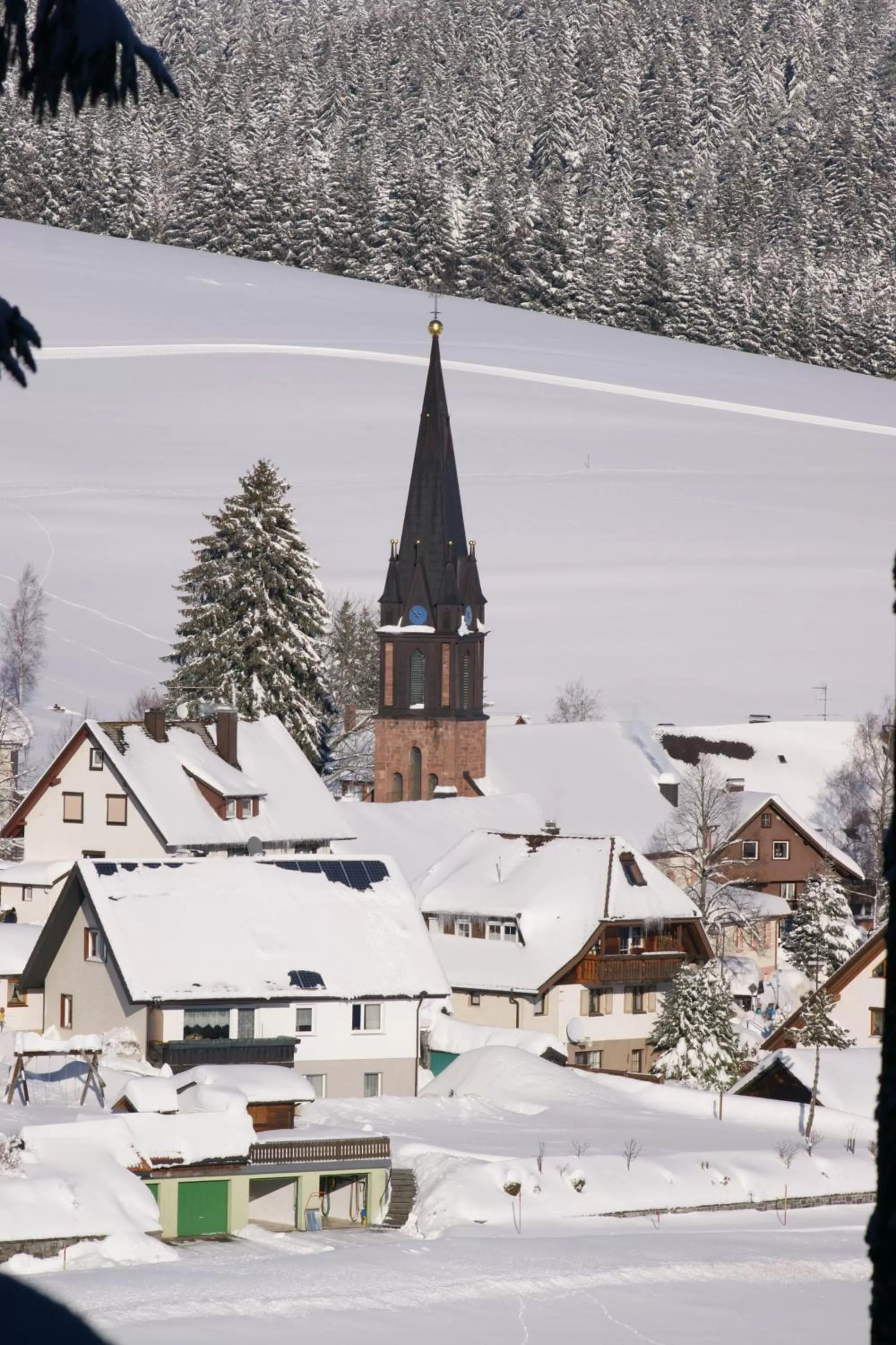 Natural landscape in ZUR TRAUBE Schwarzwaldhotel & Restaurant am Titisee