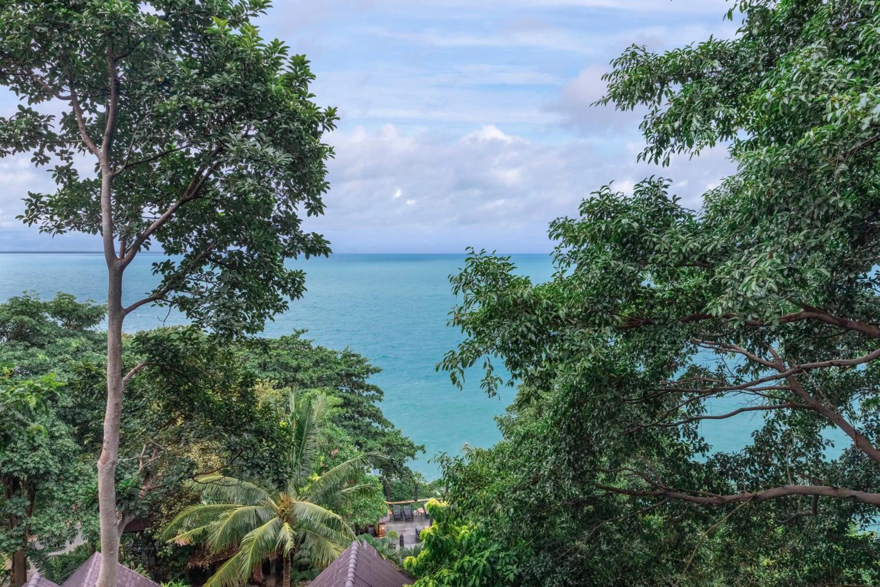 Day in Vikasa Yoga Retreat