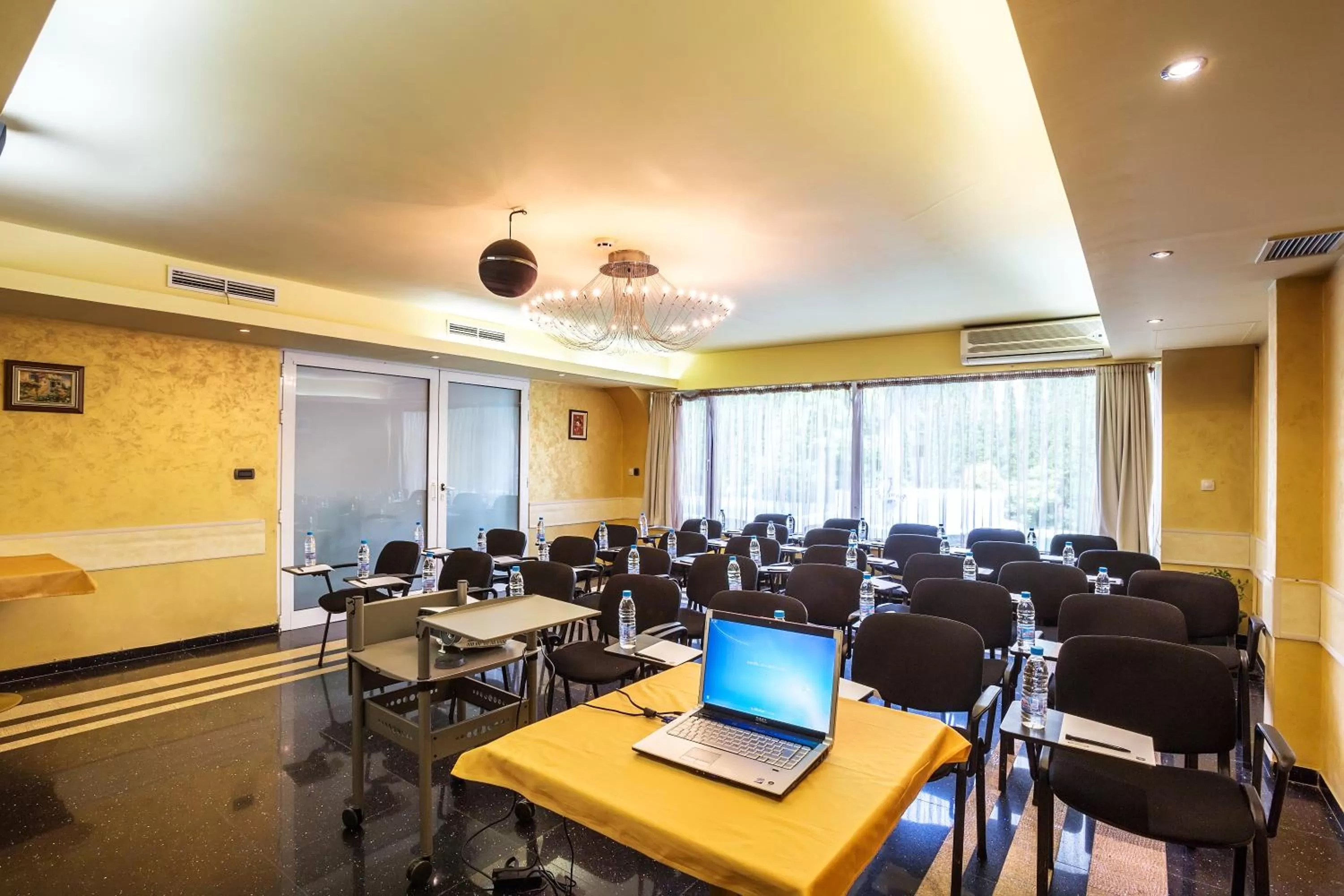 Business facilities in Europe Hotel
