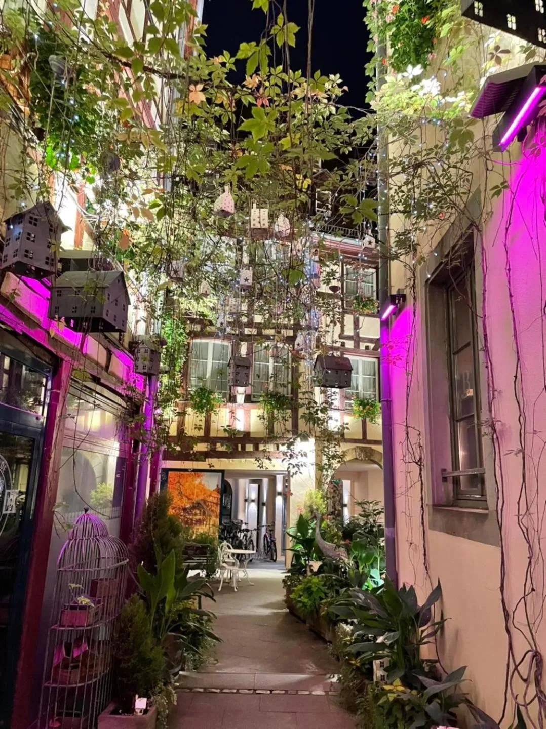 Patio in Hotel Beaucour
