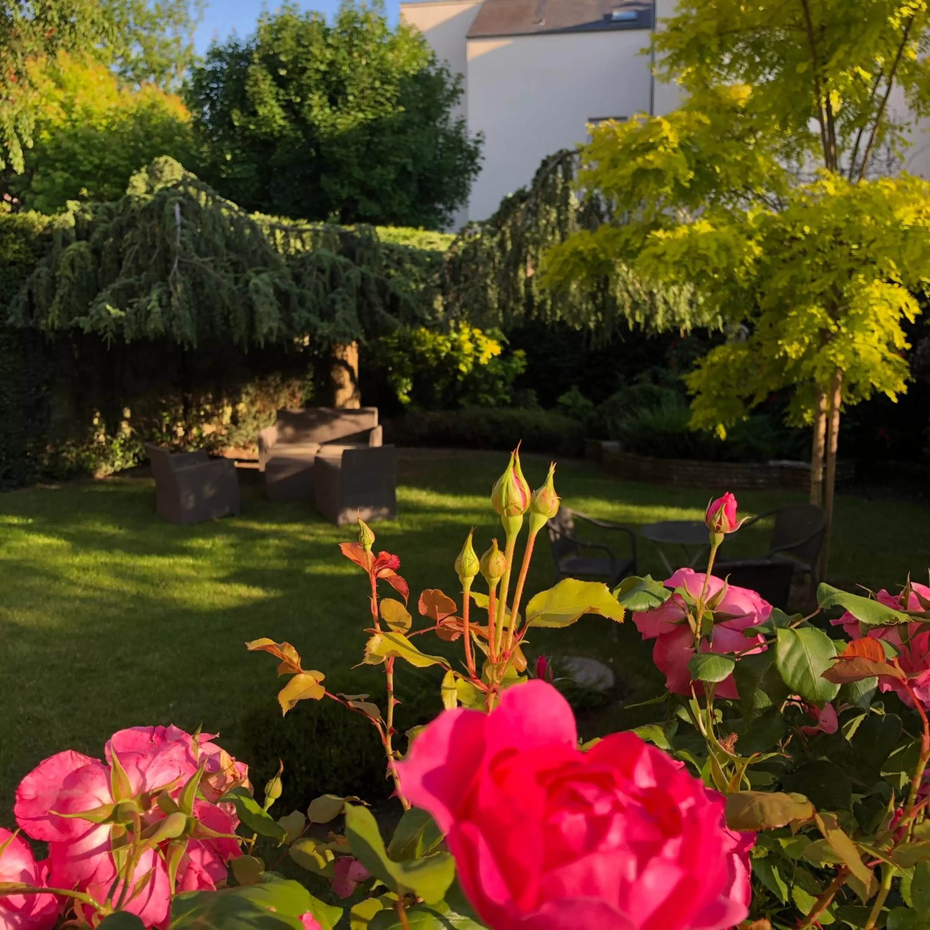 Garden in Hotel Des Cedres