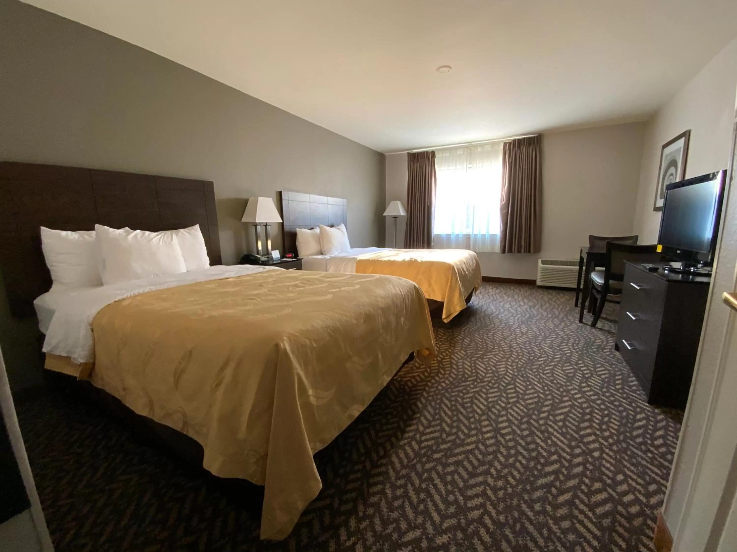 Bed in Quality Inn & Suites University-Airport