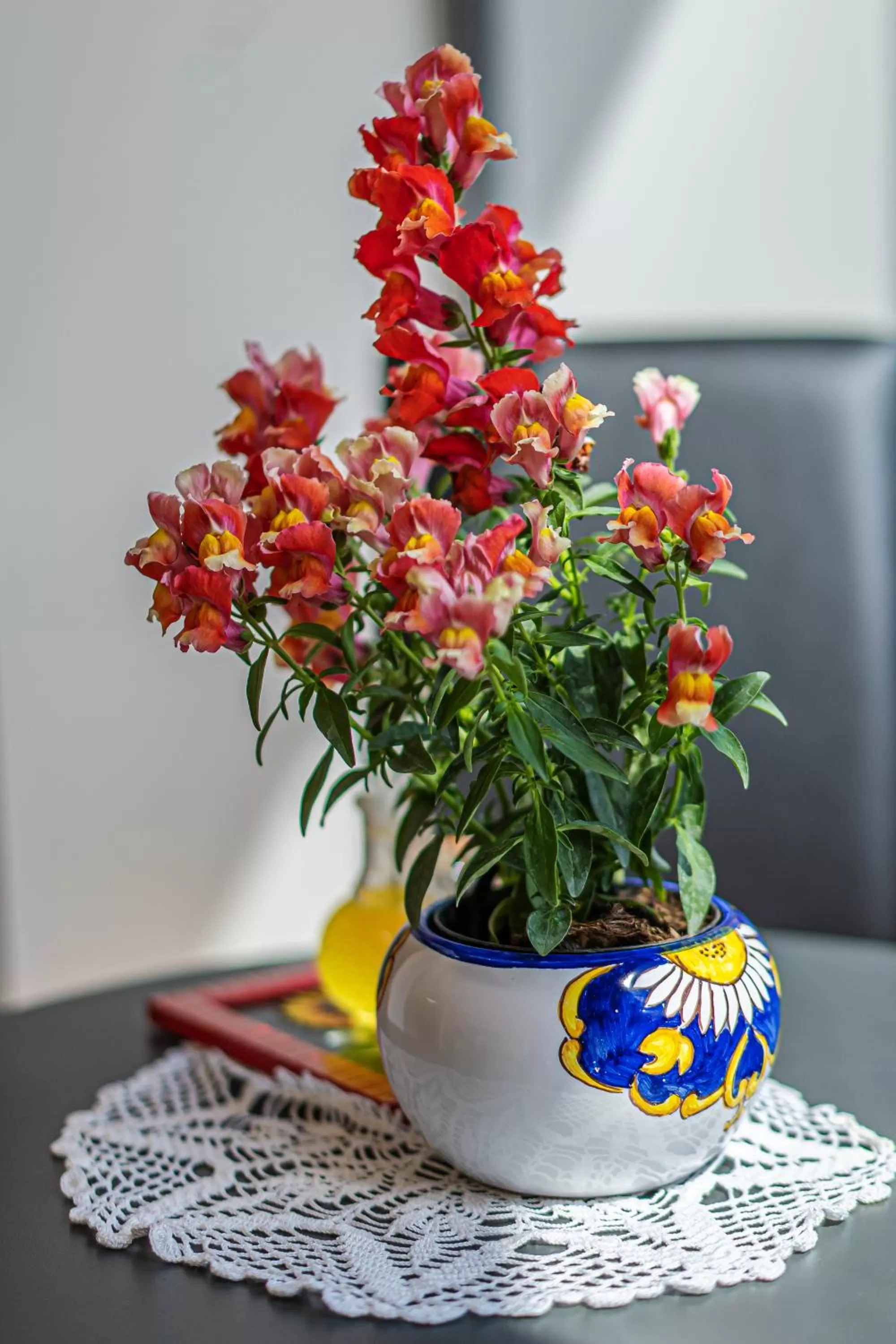 Floor plan in Il Casale di Don Matteo