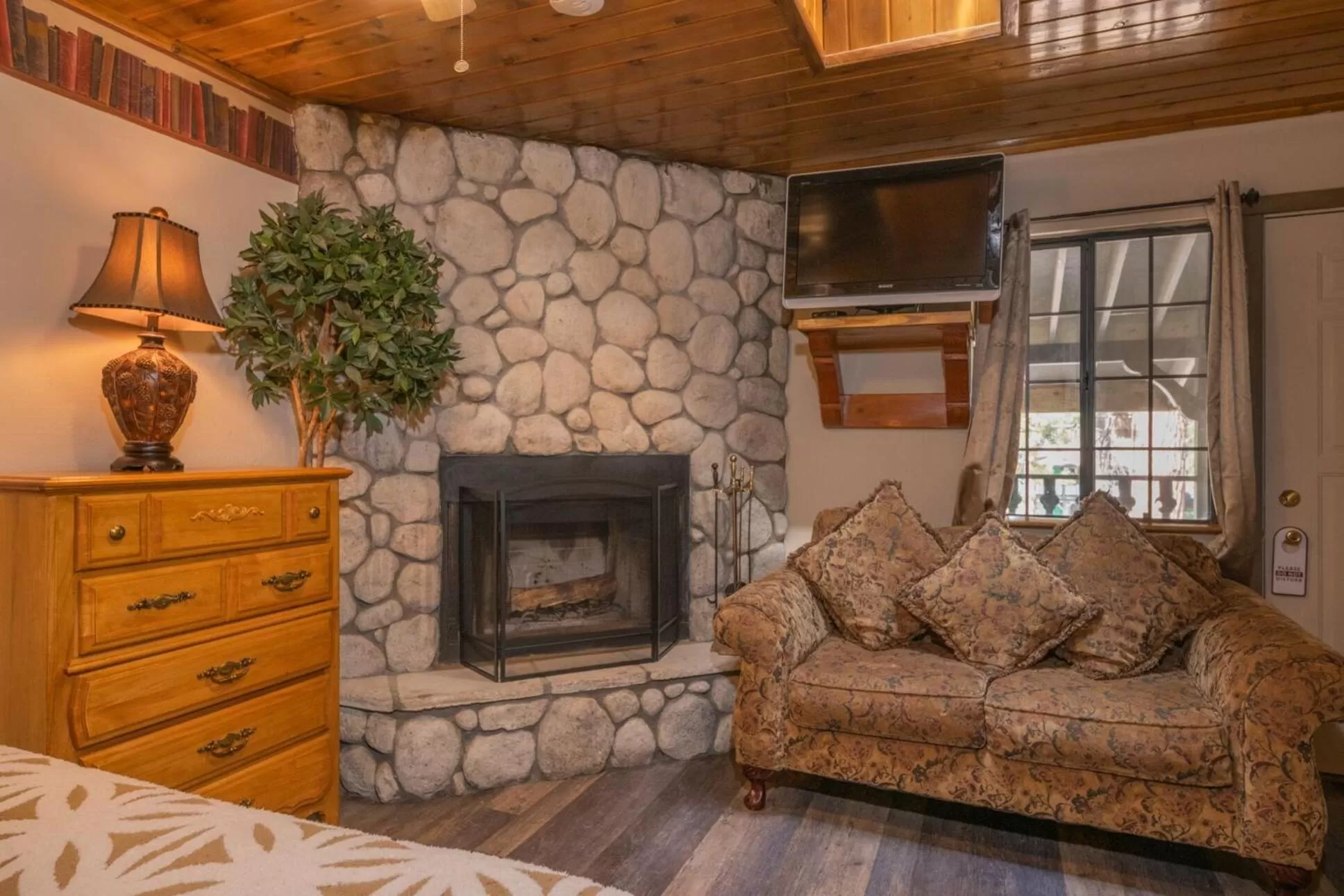 TV and multimedia in Black Forest Lodge