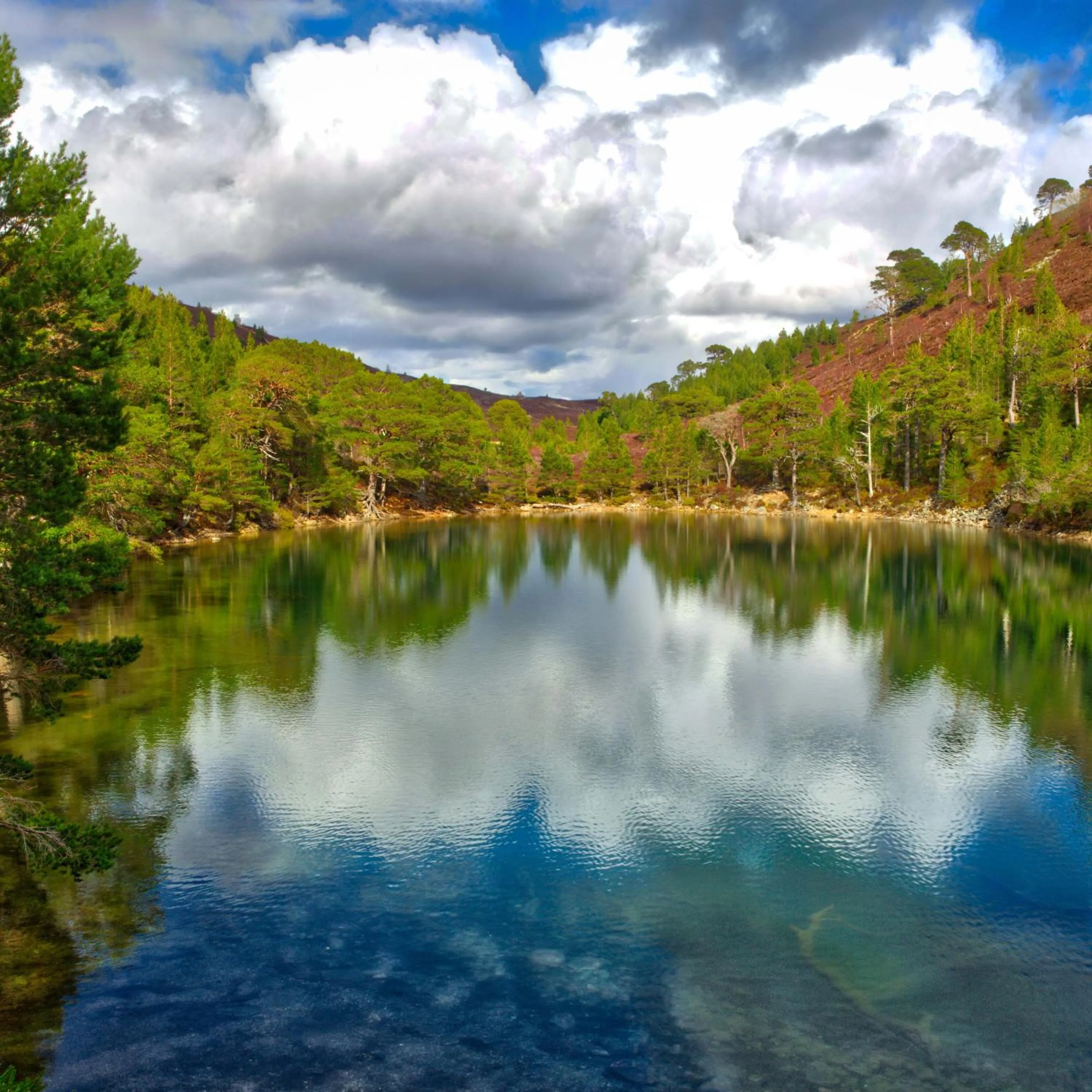 Natural landscape in Boat Country Inn and Restaurant