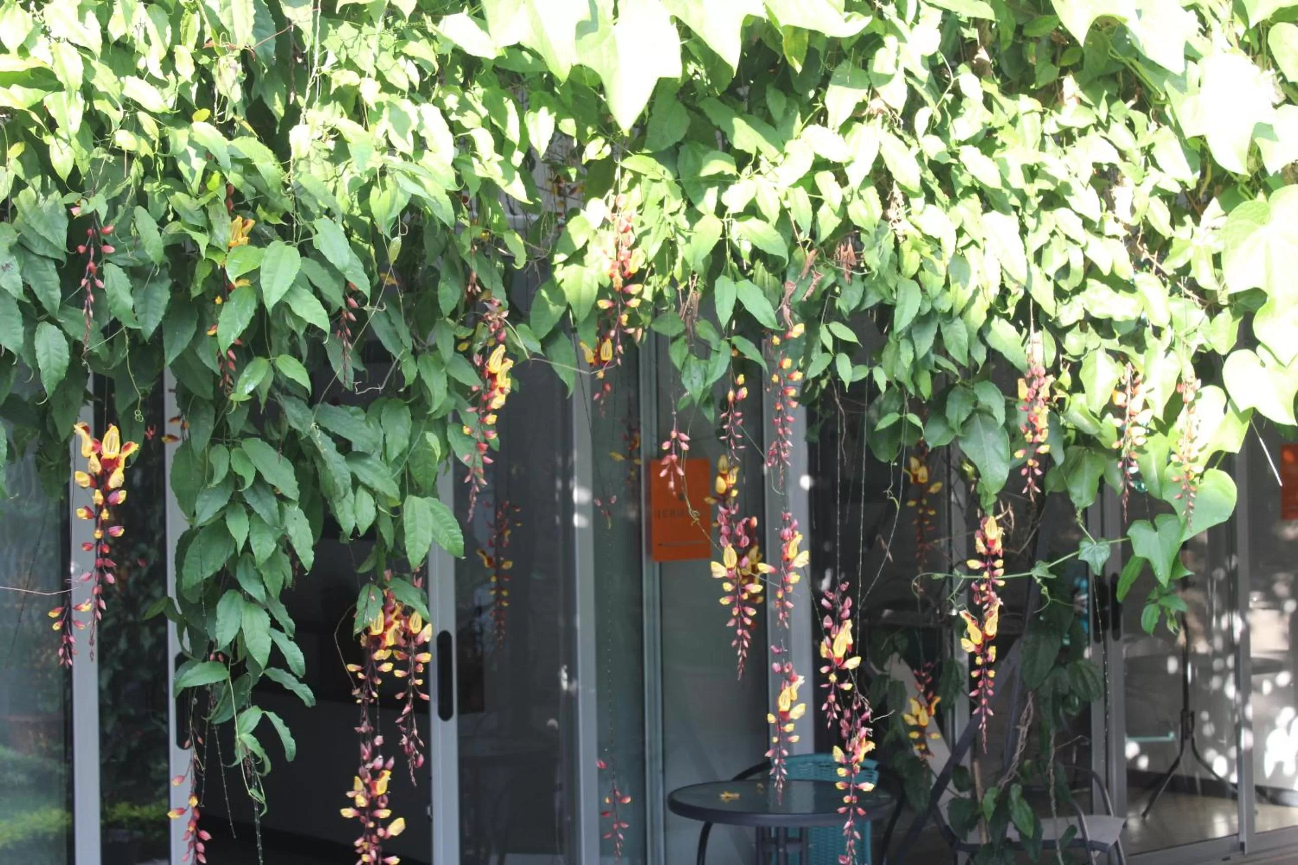 Cando Living Apartments in Central Avenue