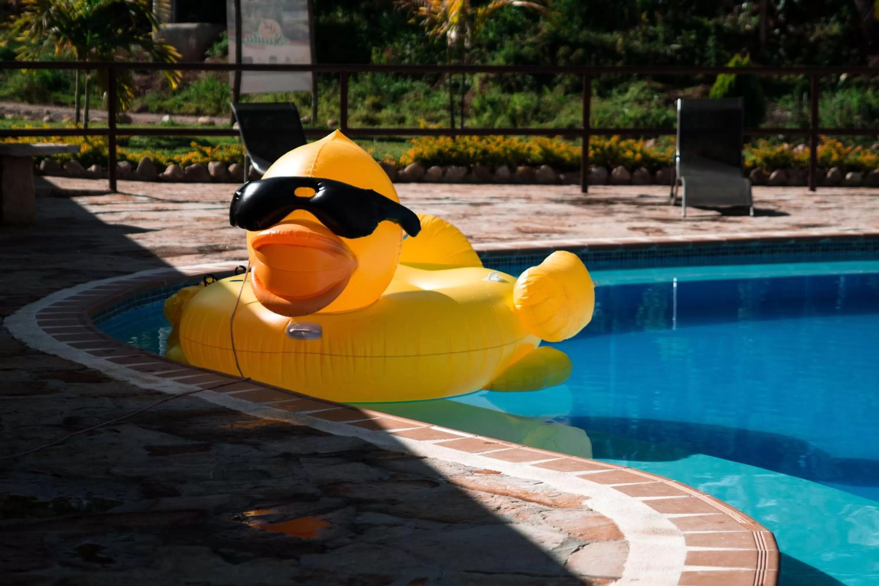 Area and facilities, Swimming Pool in Terrazas de Guadalupe