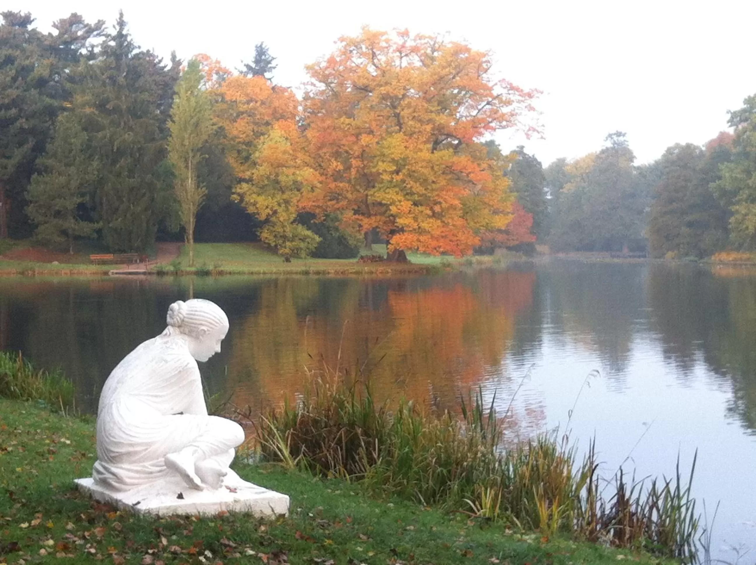 Natural landscape in Hotel Landhaus Wörlitzer Hof