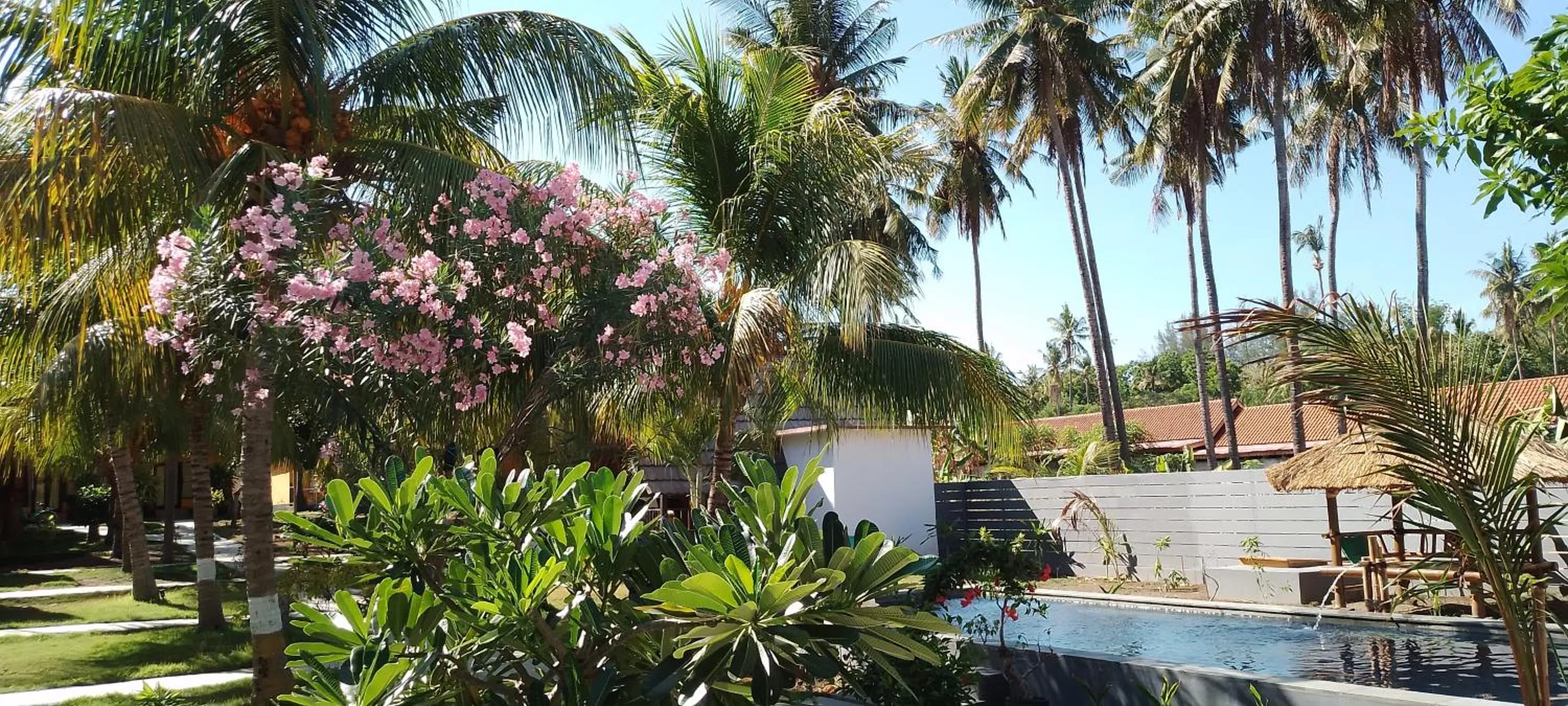 Garden view in Pandan Bungalow
