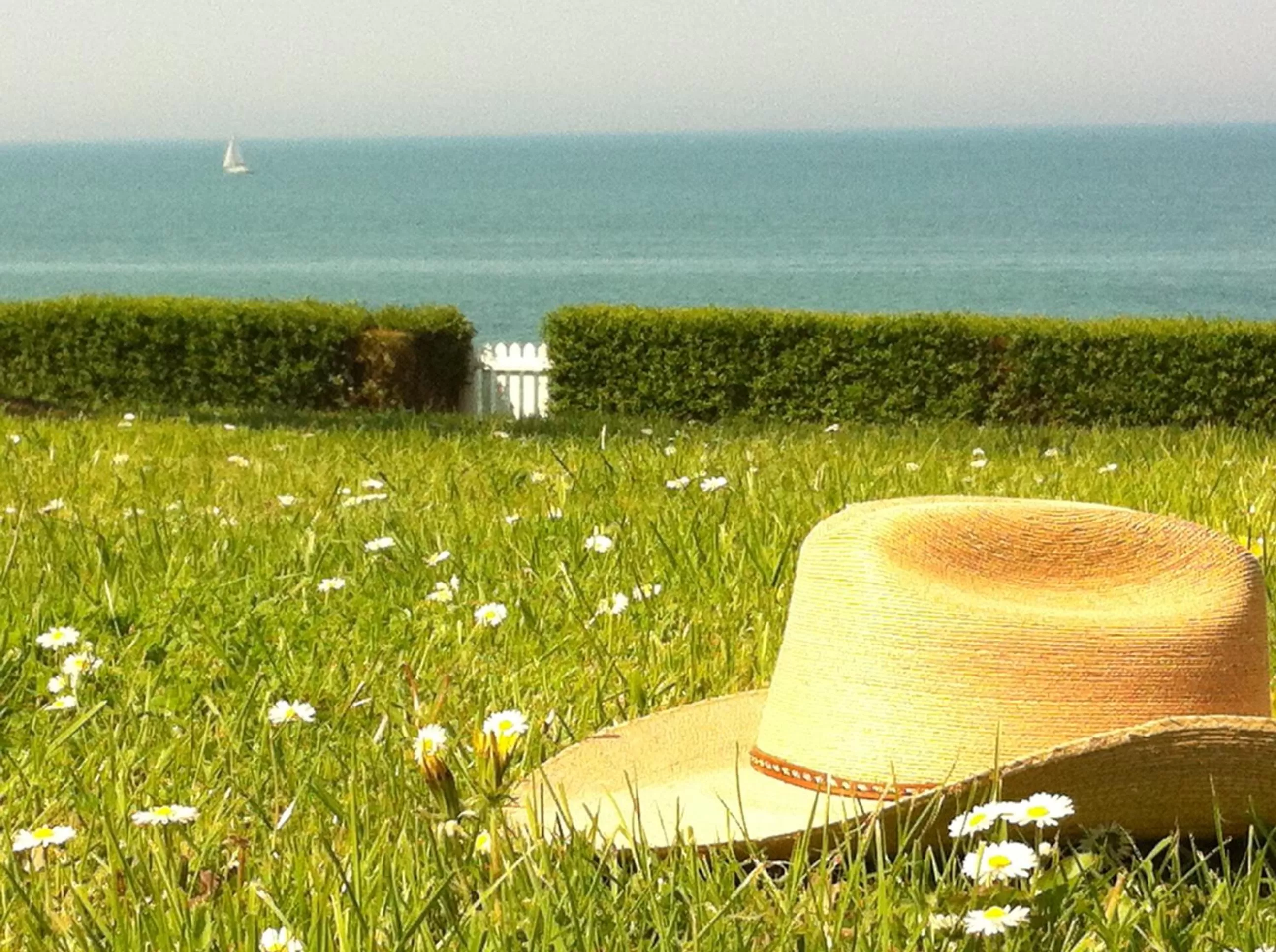 Garden in Chambres d'hôtes Les 4 Vents Pointe du Hoc - Landing Beaches