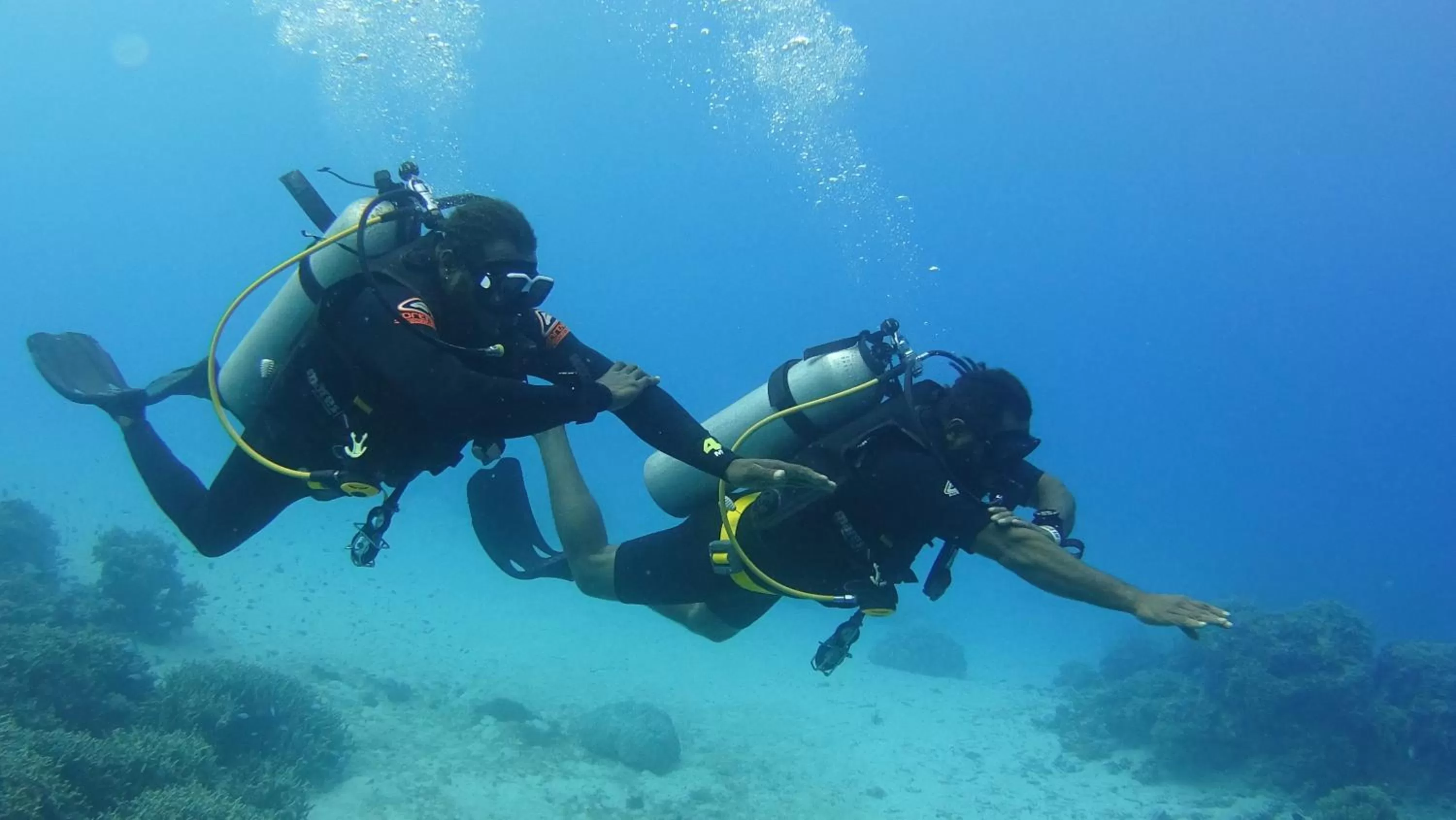 Diving in Turtle Bay Lodge