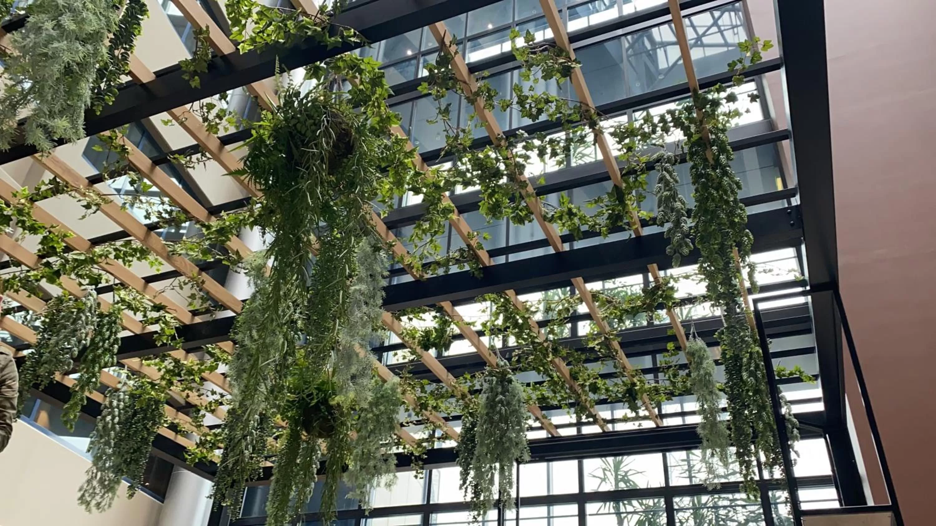 Area and facilities in Skyline Airport Hotel