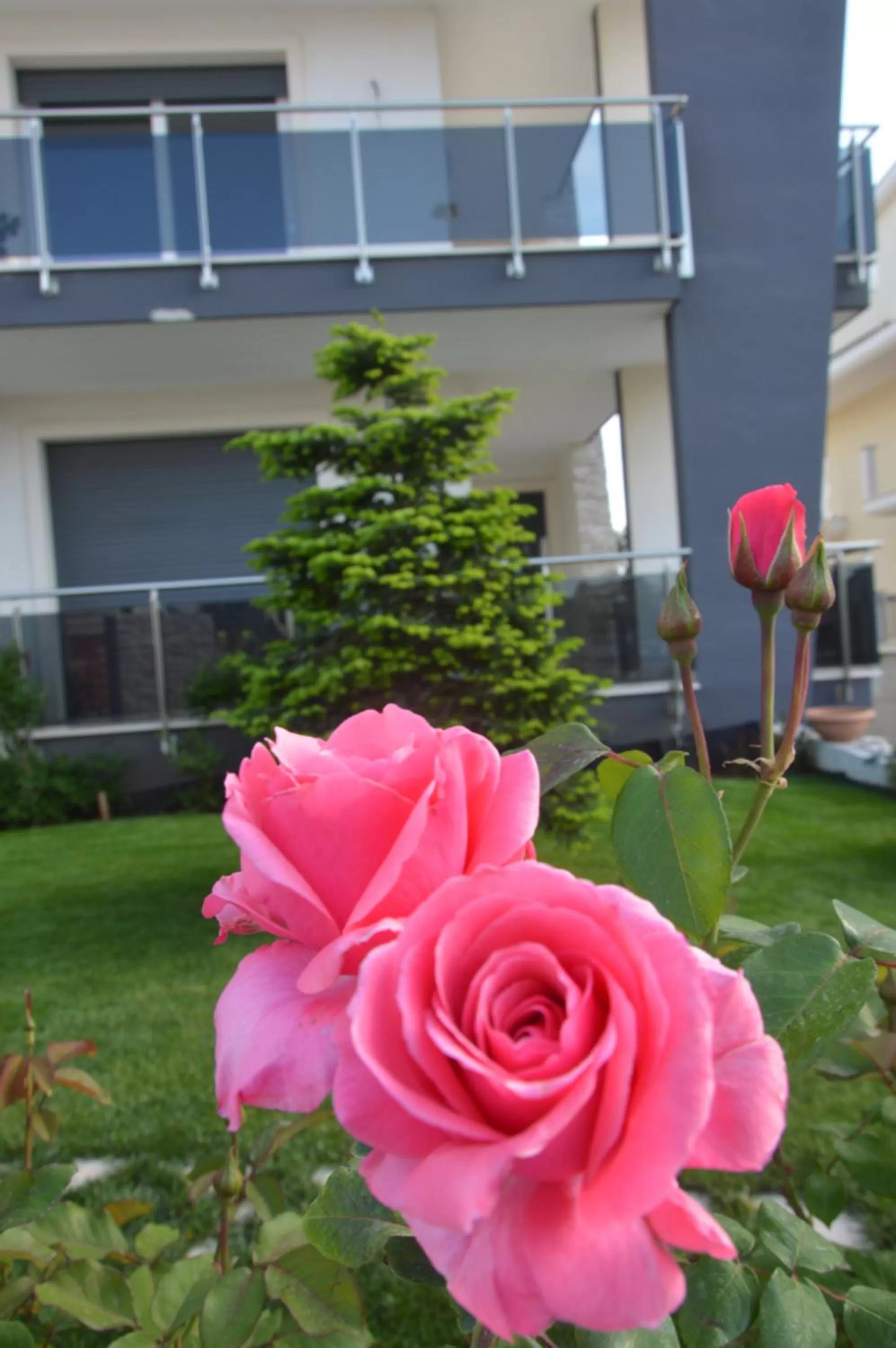 Garden view in B&B La Rosa dei Venti