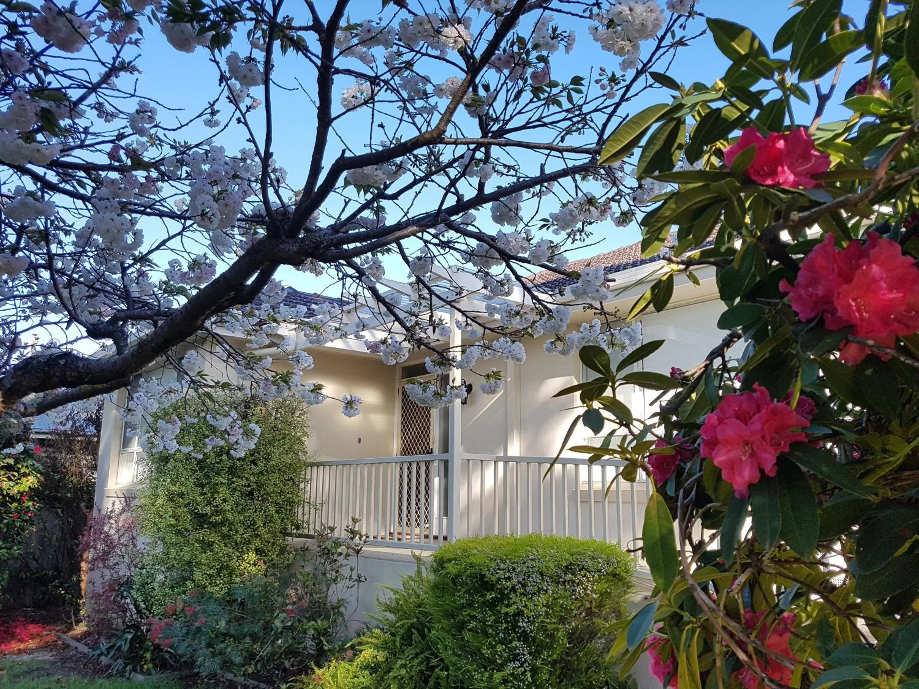 On site, Property Building in Alkira