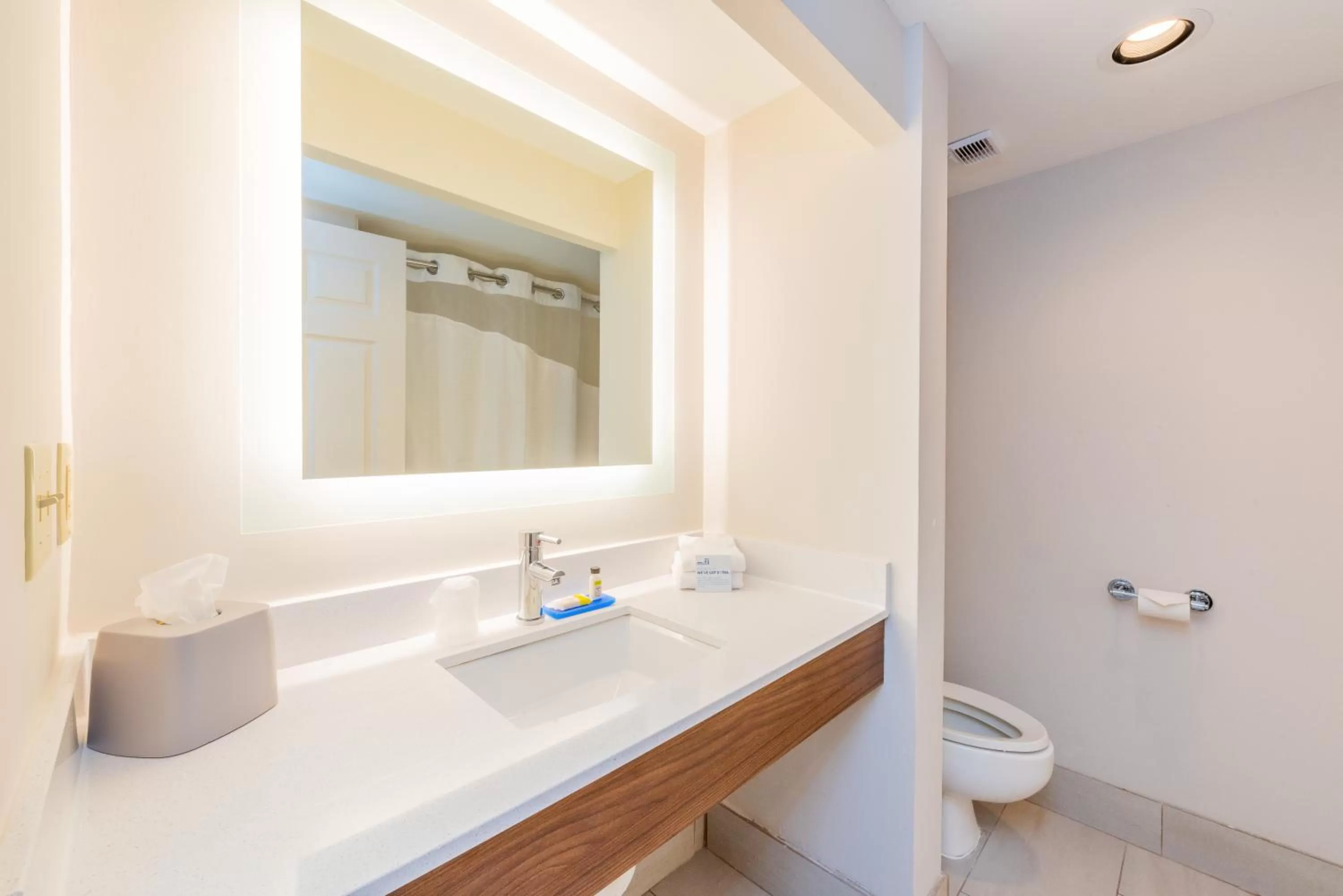 Bathroom in Holiday Inn Express Hotel & Suites Bradenton West by IHG