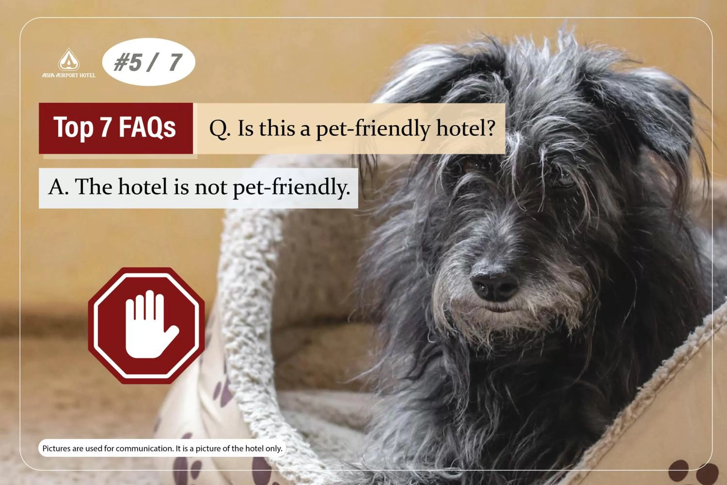 Text overlay in Asia Airport Hotel