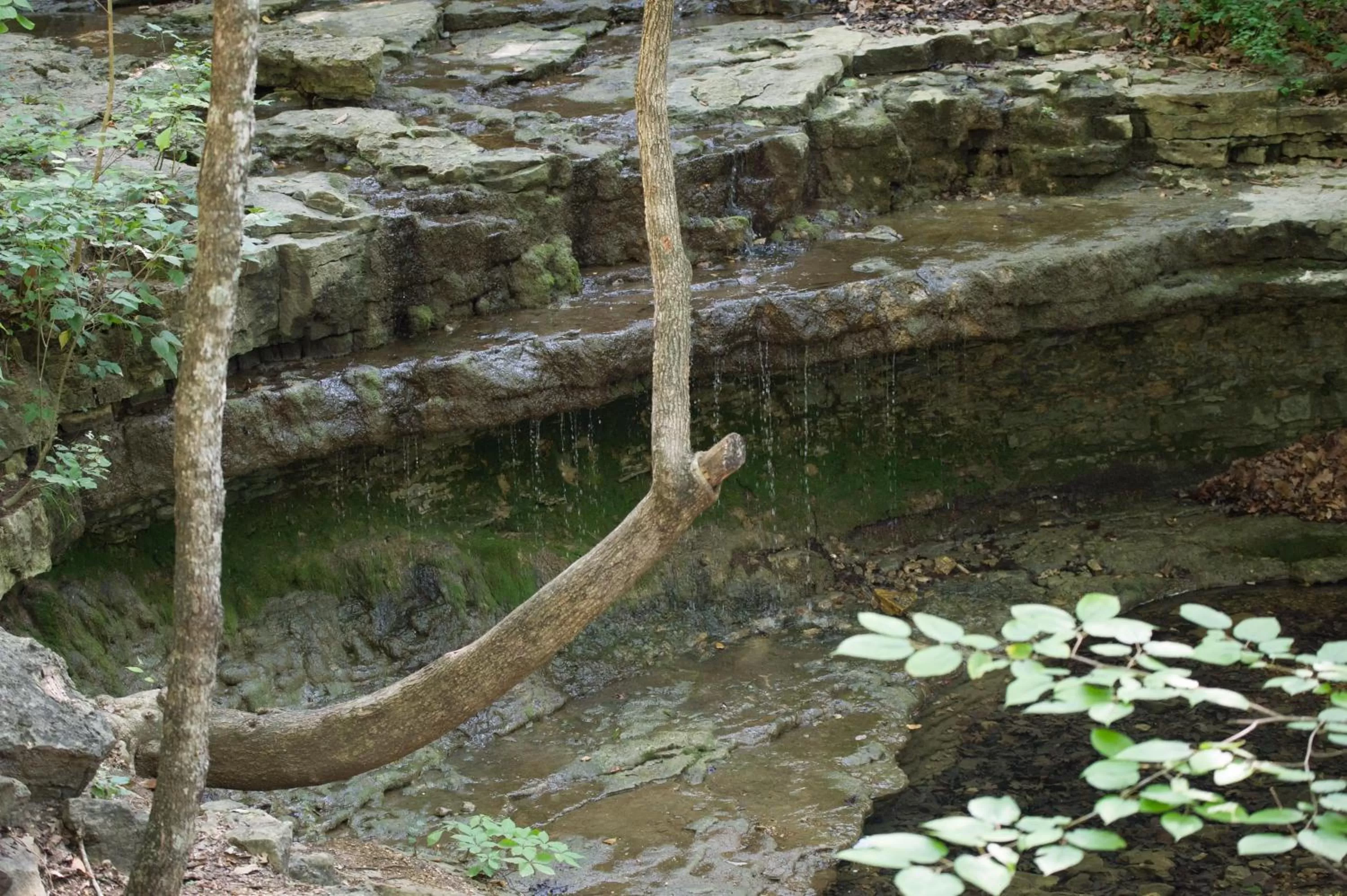 Decorative detail in Cabins at Green Mountain, Trademark Collection by Wyndham